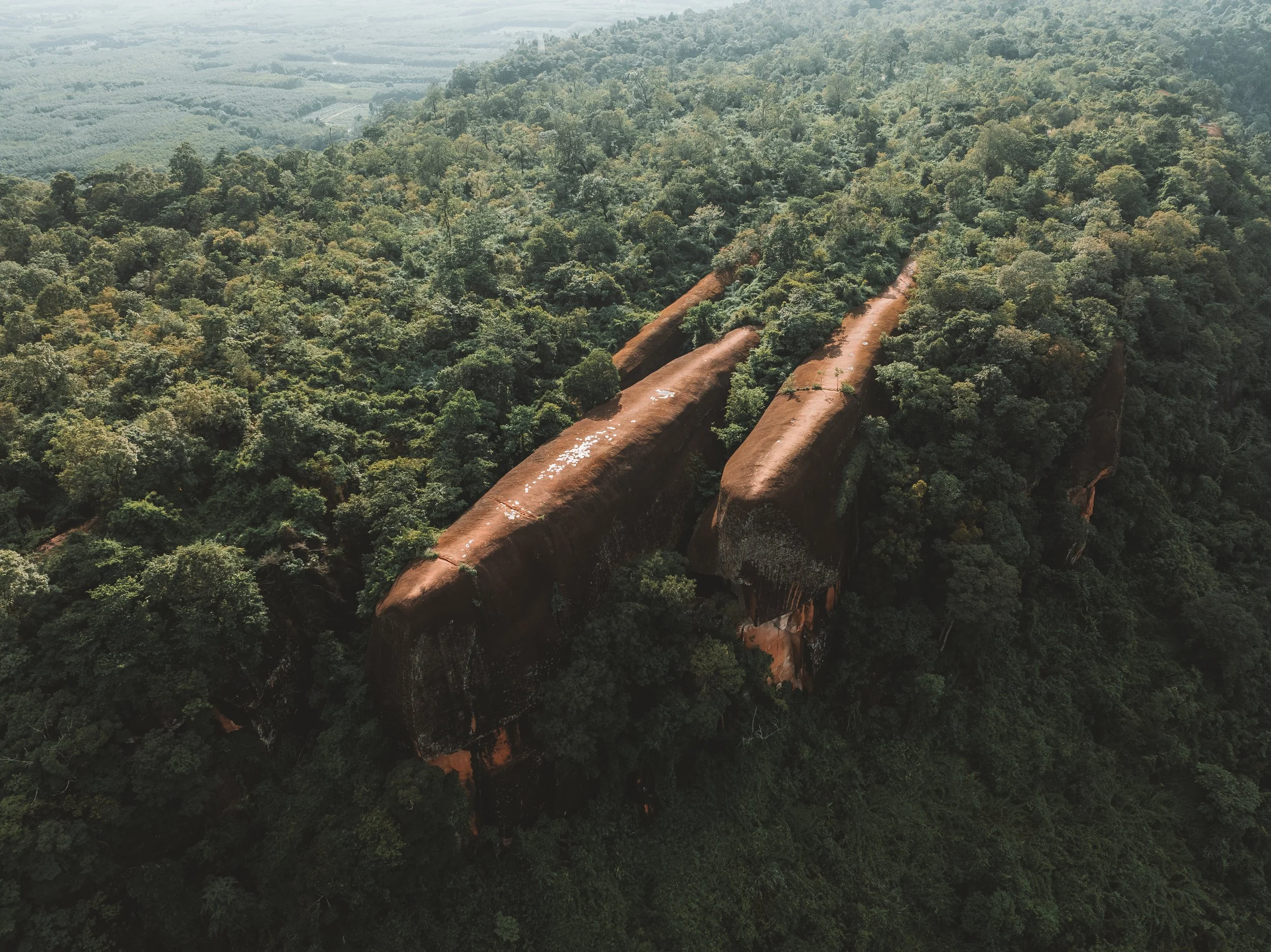 DJI_0083.JPG