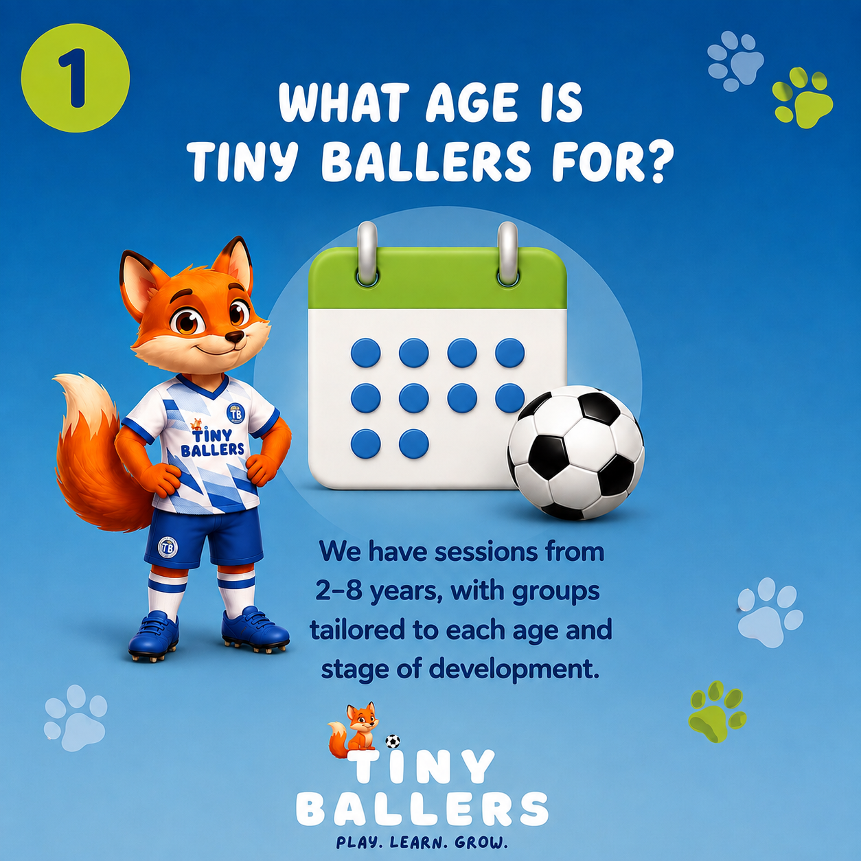 Tiny ballers Frequently Asked Questions - what age is tiny ballers for?