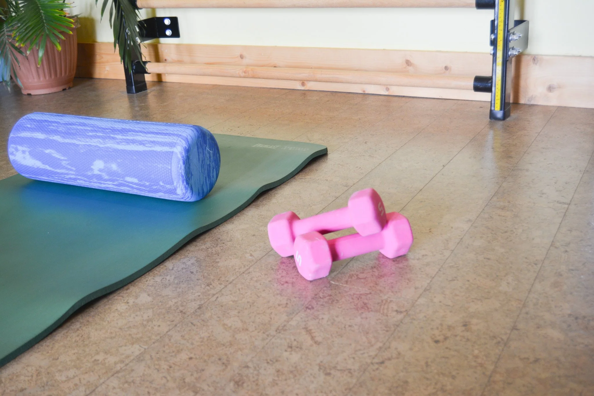 Indoor scene with a pink dumbbell, a green yoga mat, a blue foam roller, a black yoga block, a wooden wall with horizontal paneling, a large potted plant in a pink ceramic pot, and a wall-mounted electrical outlet with a black cable connected.