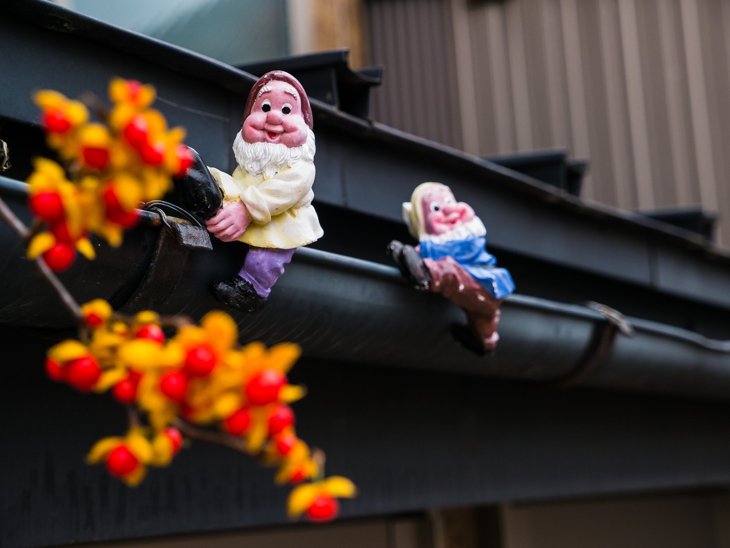 13Oct29_DMC-GX1_1050492_Japan, L2 Photo, Takayama, Travel.jpg
