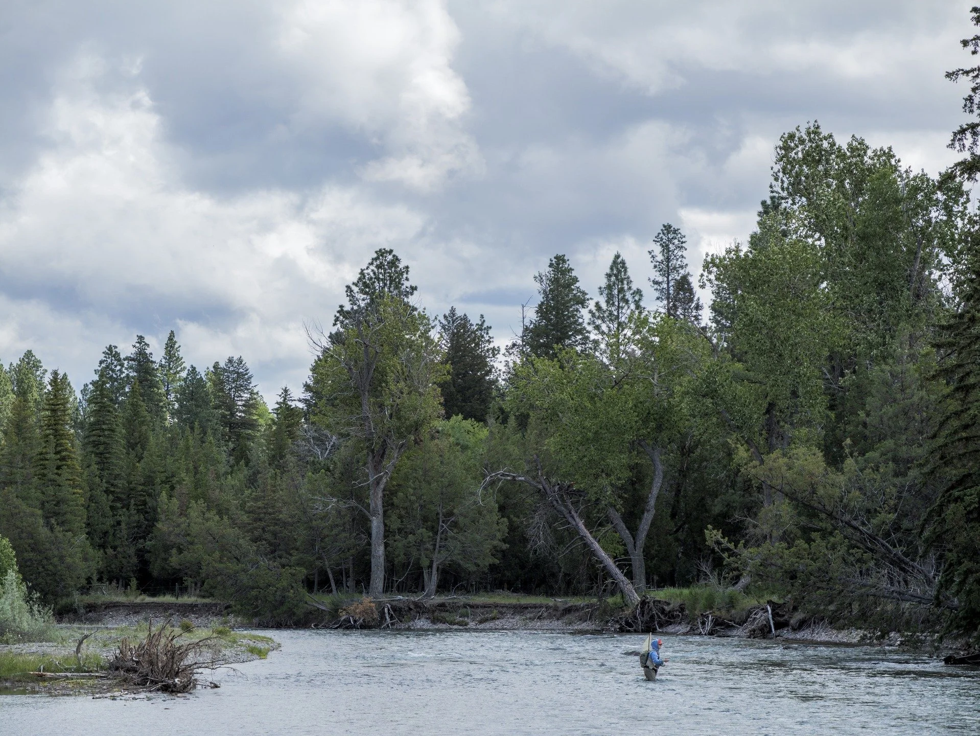 Am I using fly fishing as an excuse to get outside and also do some photography? Why yes I am, especially if the fish aren't being cooperative. With @phwff Missoula, MT.
.
Gear: @Lumix #G9ii, PL 12-60/2.8-4
Settings: 60mm, f/4.1, 1/500sec, iso100,
Ed