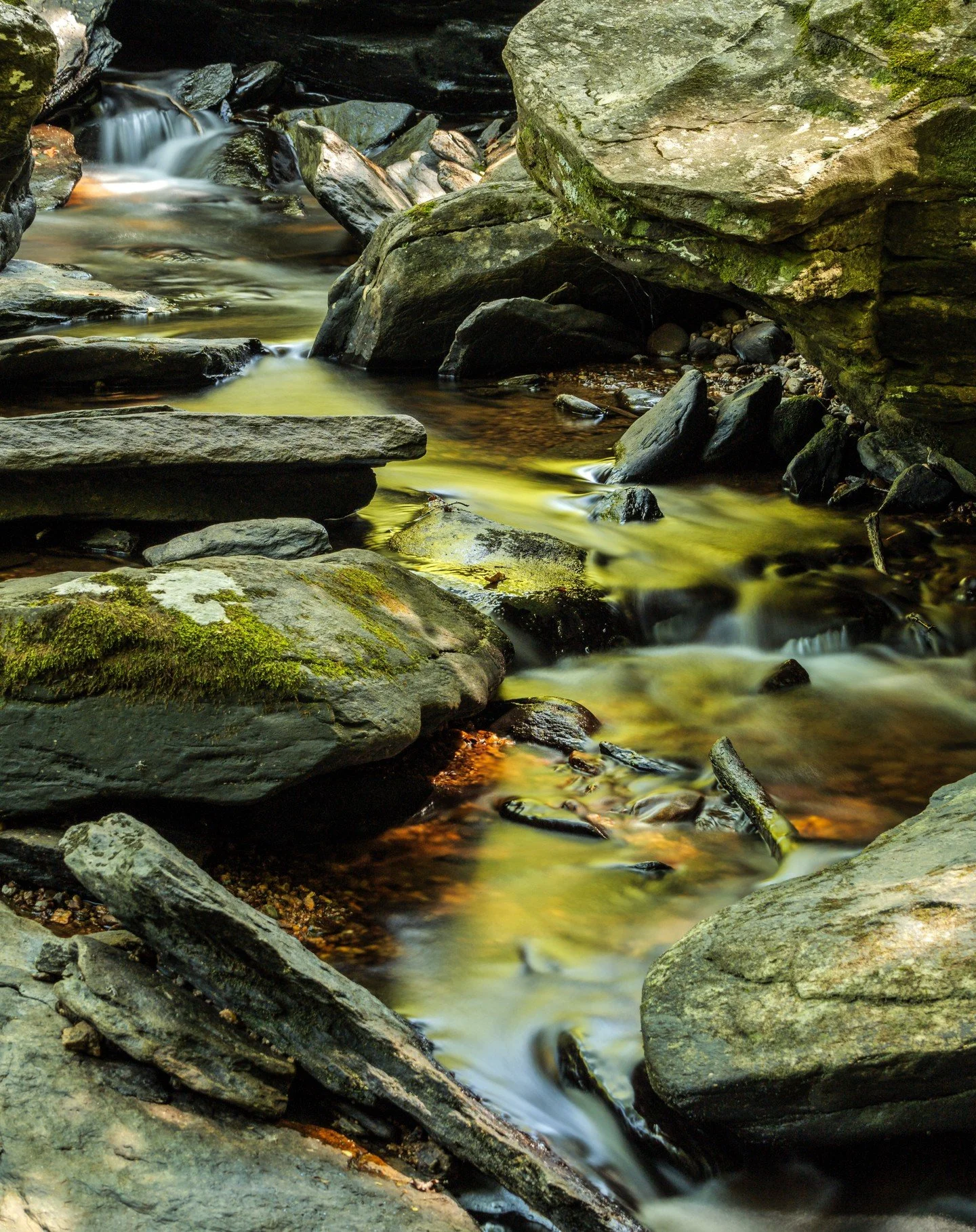 Did some hiking today while In Boone, NC to check out a potential school. Man the humidity is rough when you've spent the last few months in Santa Fe.
.
.
Gear: @Lumix #G9ii, PL 50-200/2.8-4, #mavenfilters 6 DCLP
Settings: 50mm, f/7.1, 13sec, iso100,