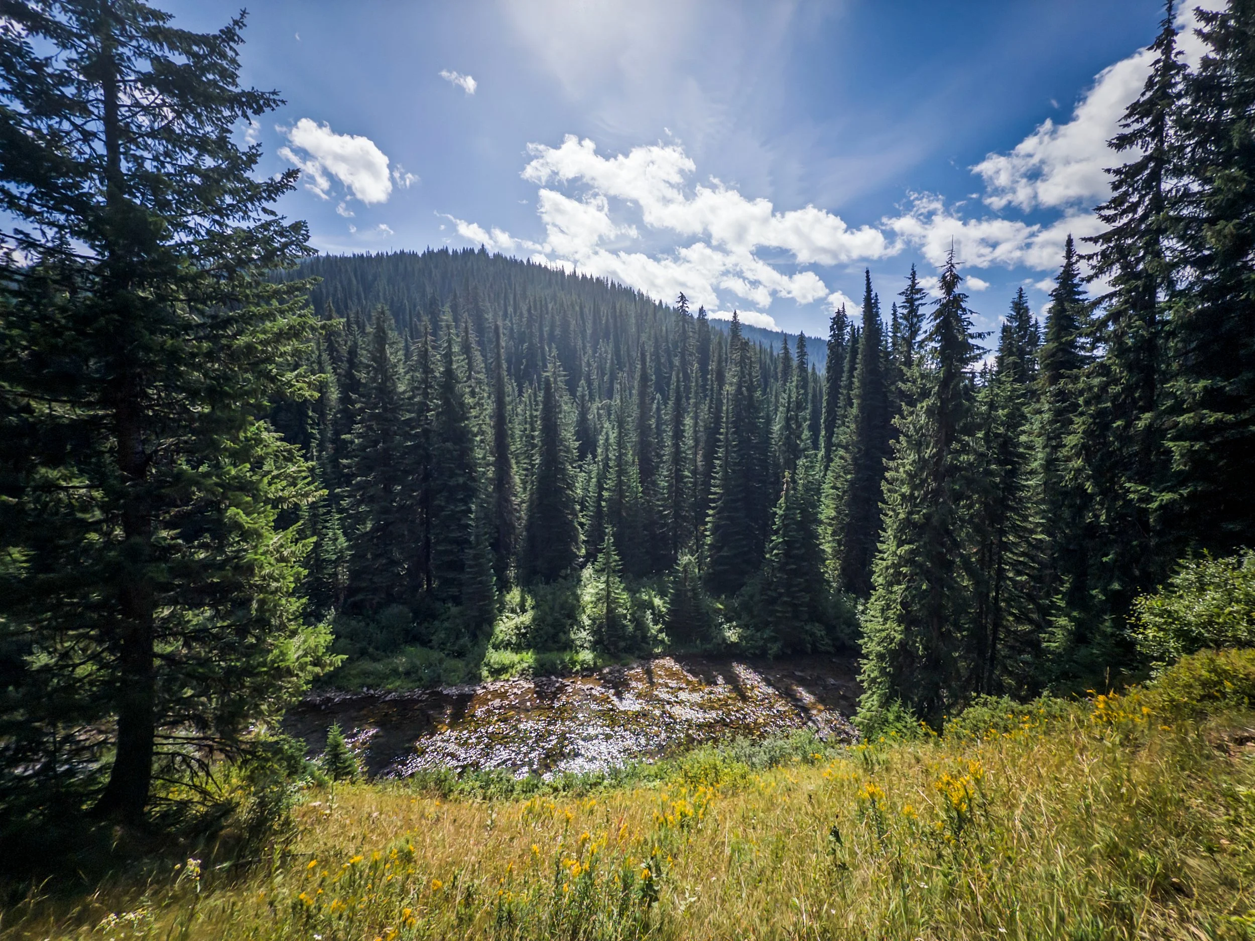 25Aug14_iPhone 16 Pro_319.jpg