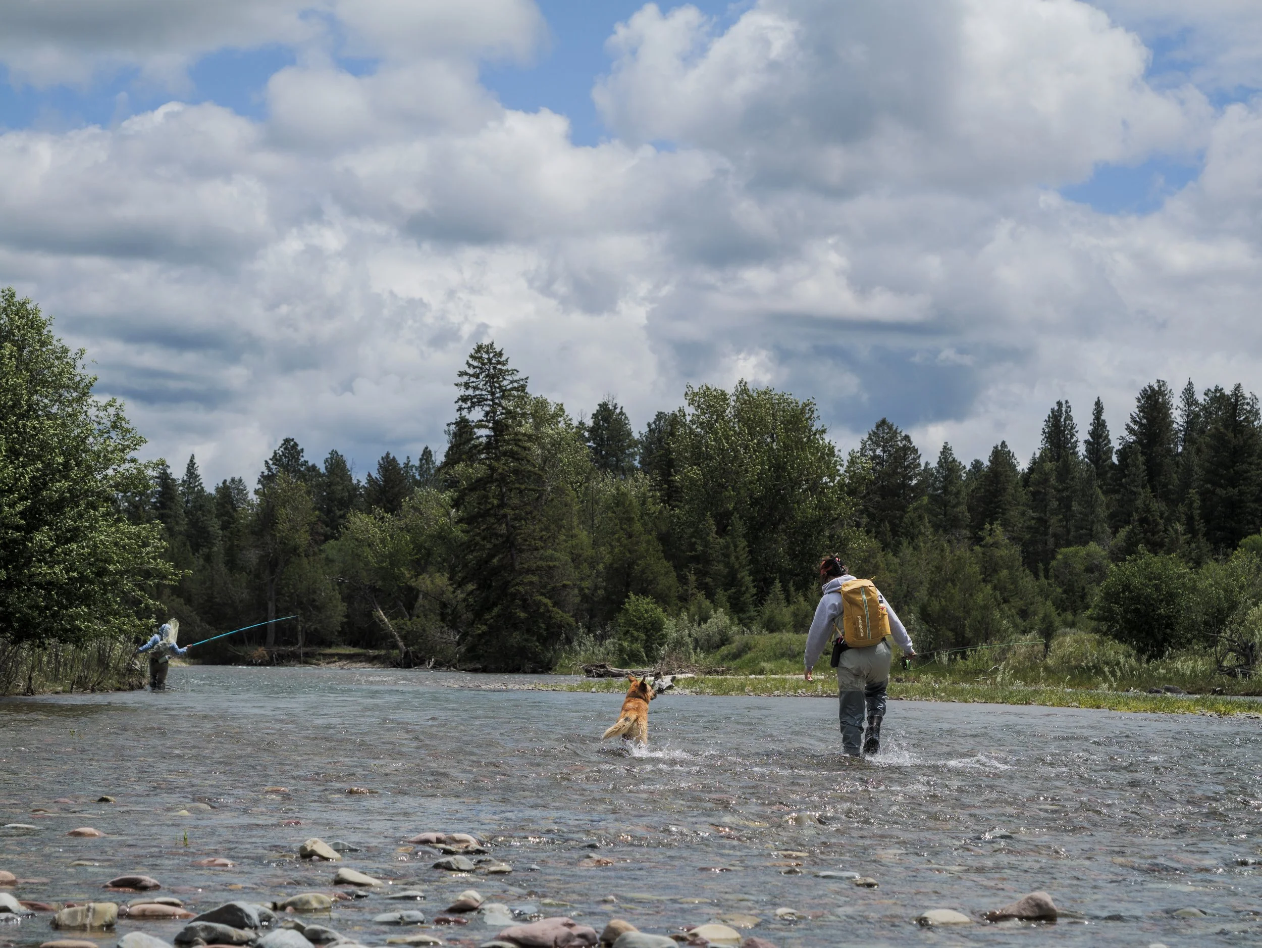 Project Healing Waters Fly Fishing Missoula Montana
