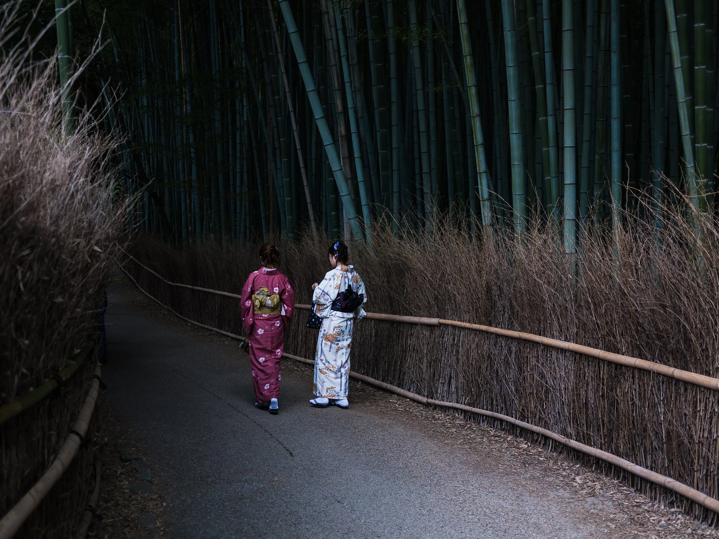 10Sep15_DMC-GF1_1000678_Bamboo, Japan, Kyoto, L2 Photo, Travel, Yakuta.jpg