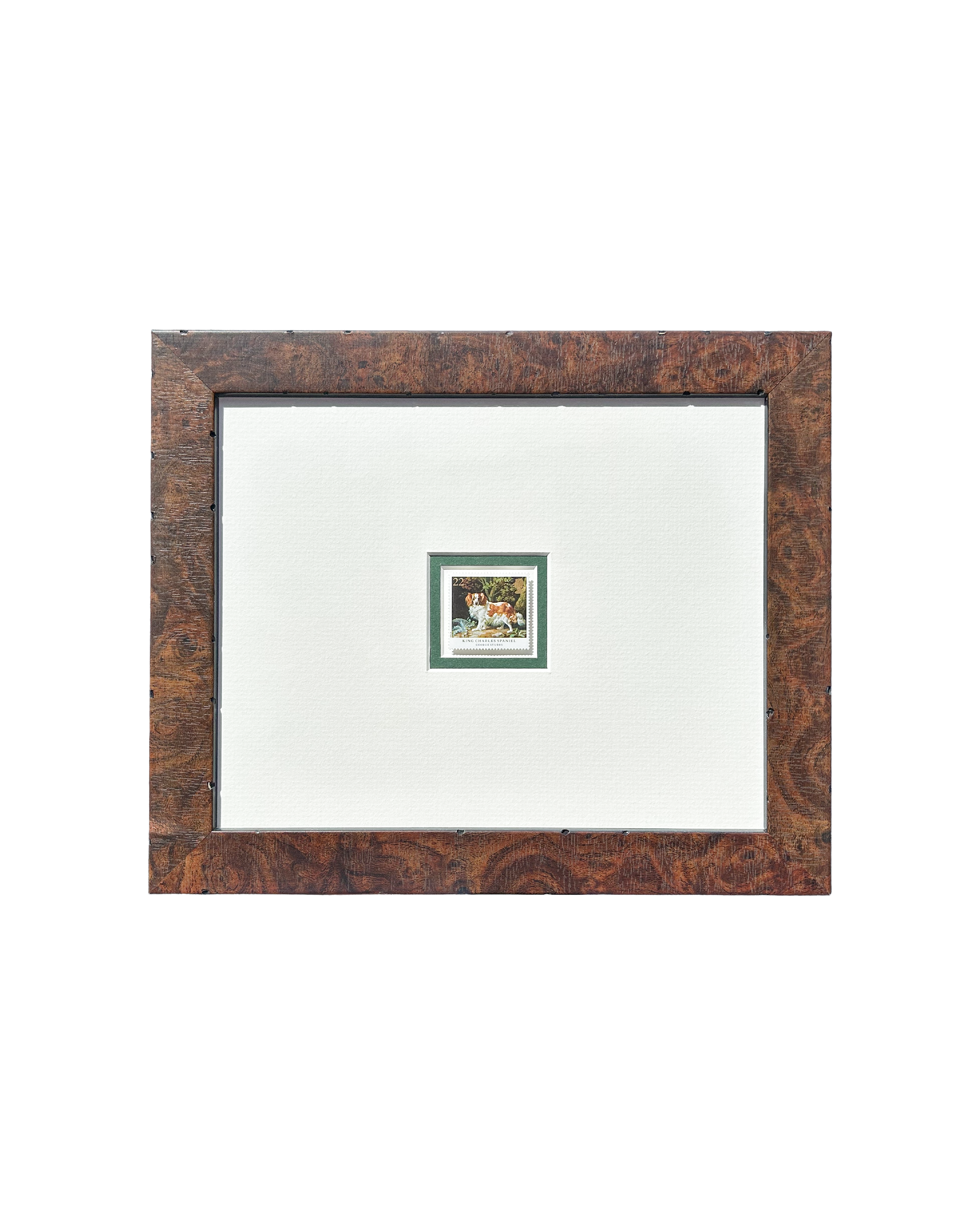 King Charles Spaniel - Framed Stamp