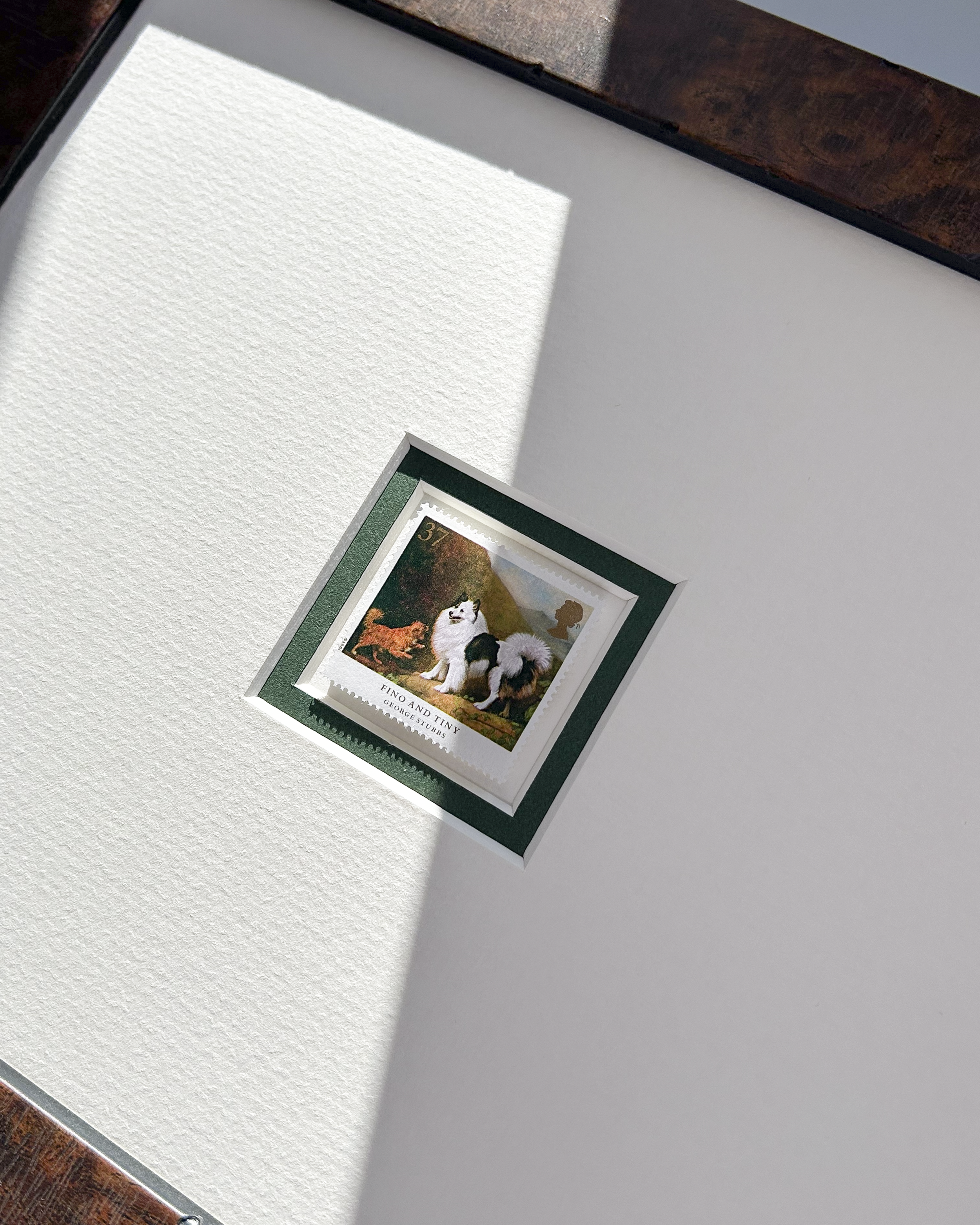finon-and-tiny-dog-art-close-up.png