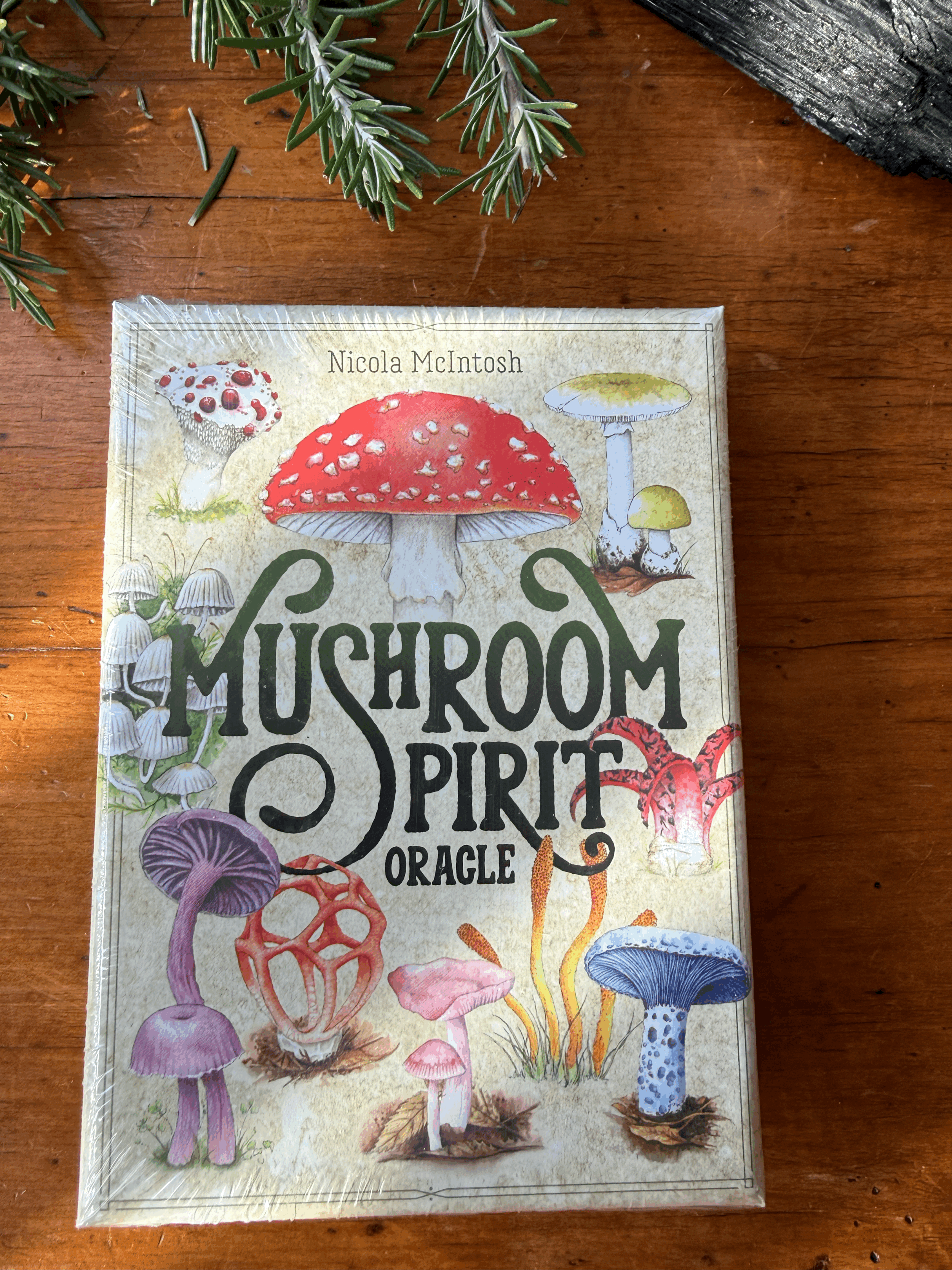 mushroom spirit oracle cards