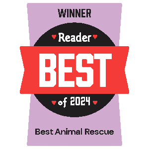 Award badge indicating 'Best Reader of 2024' for Best Animal Rescue.
