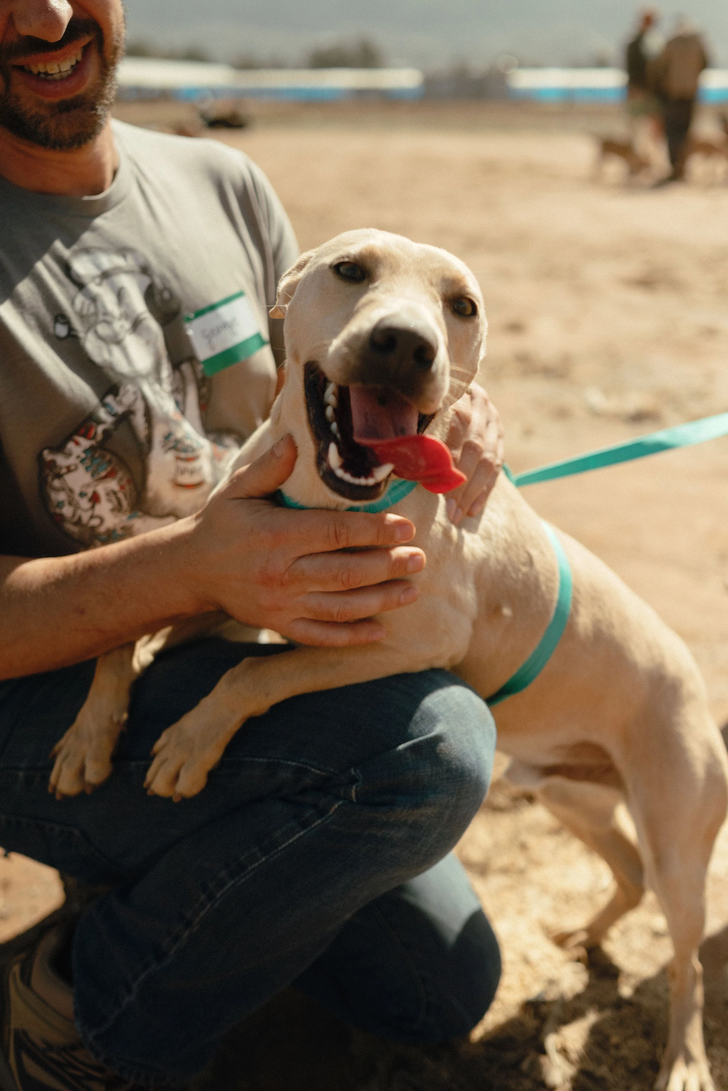 General Dog training Resources