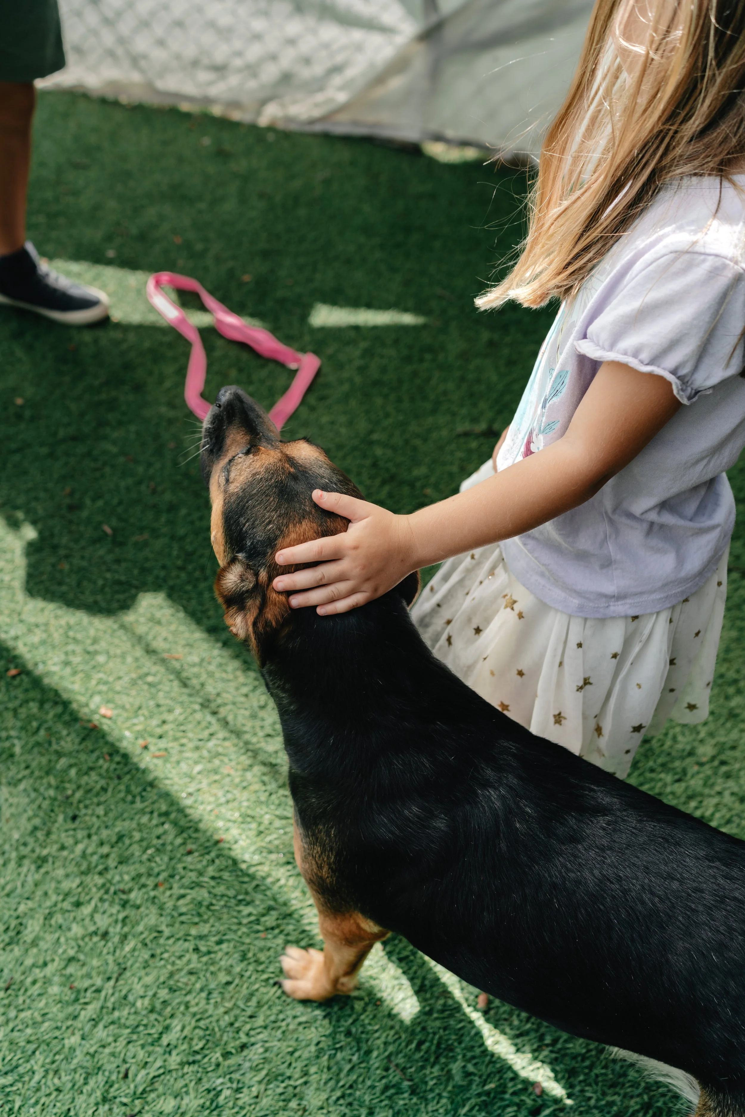 Kids &amp; Dogs Resources
