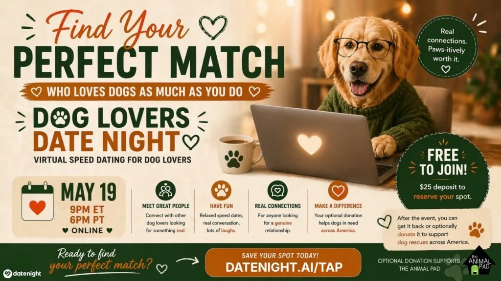 Speed Dating with DateNight Ai