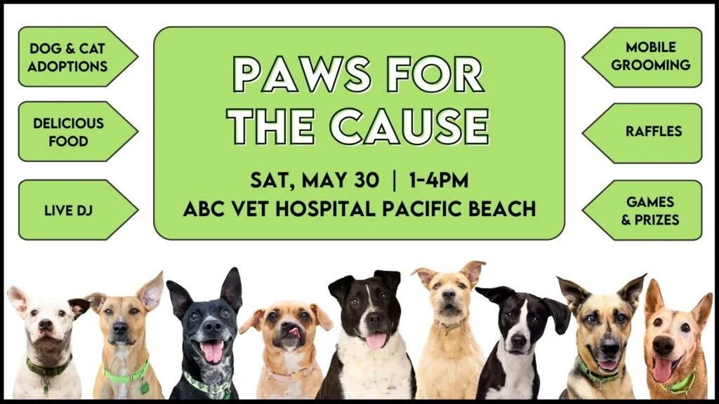 Paws for the Cause