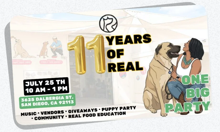 Real Dog's 11-Year Anniversary Celebration