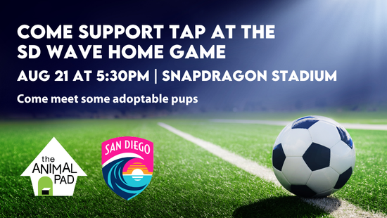 SD Wave Game &amp; Adoption Event