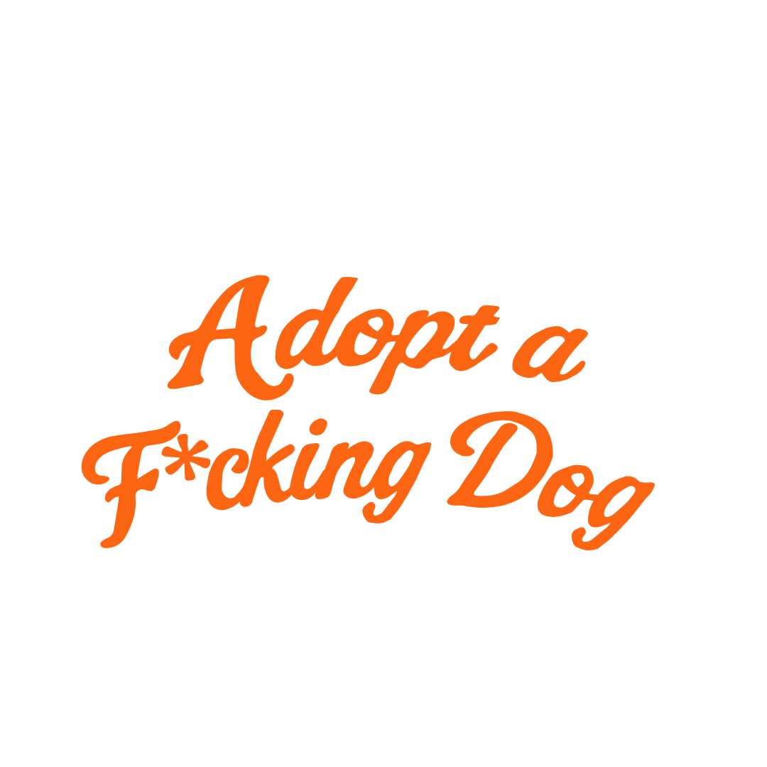Text graphic with the message 'Adopt a F*cking Dog' in orange cursive font on a black background.