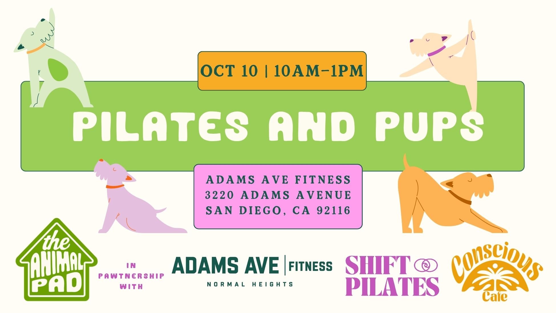 pilates &amp; Pups