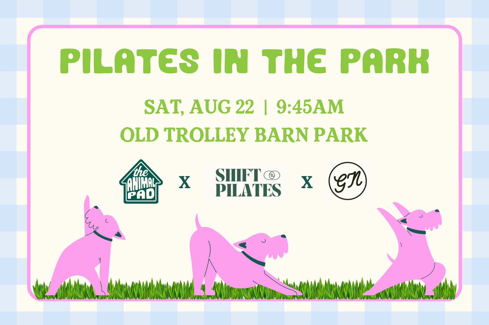 Pilates in the Park