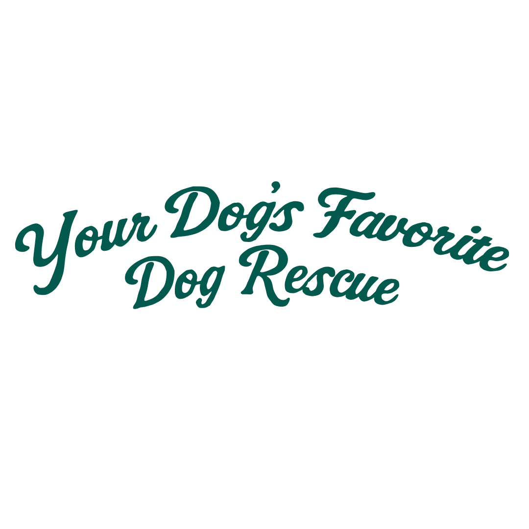 Logo for Your Dog's Favorite Dog Rescue featuring a silhouette of a dog and stylized text.