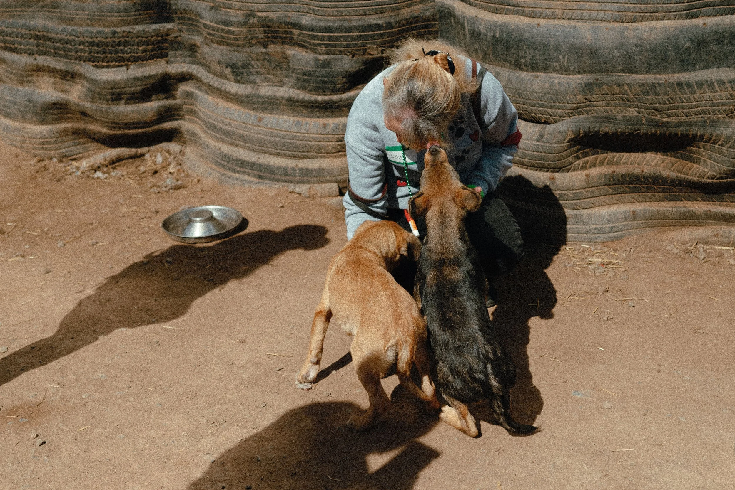 A woman with glasses and long hair crouches down, petting a group of two puppies, one tan and one black and tan, in a dirt area with a wooden wall and empty metal bowl nearby.