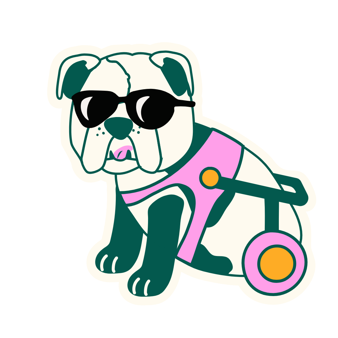 Cute illustration of a bulldog wearing black sunglasses, a pink harness, and a pink wheelchair with orange wheels.