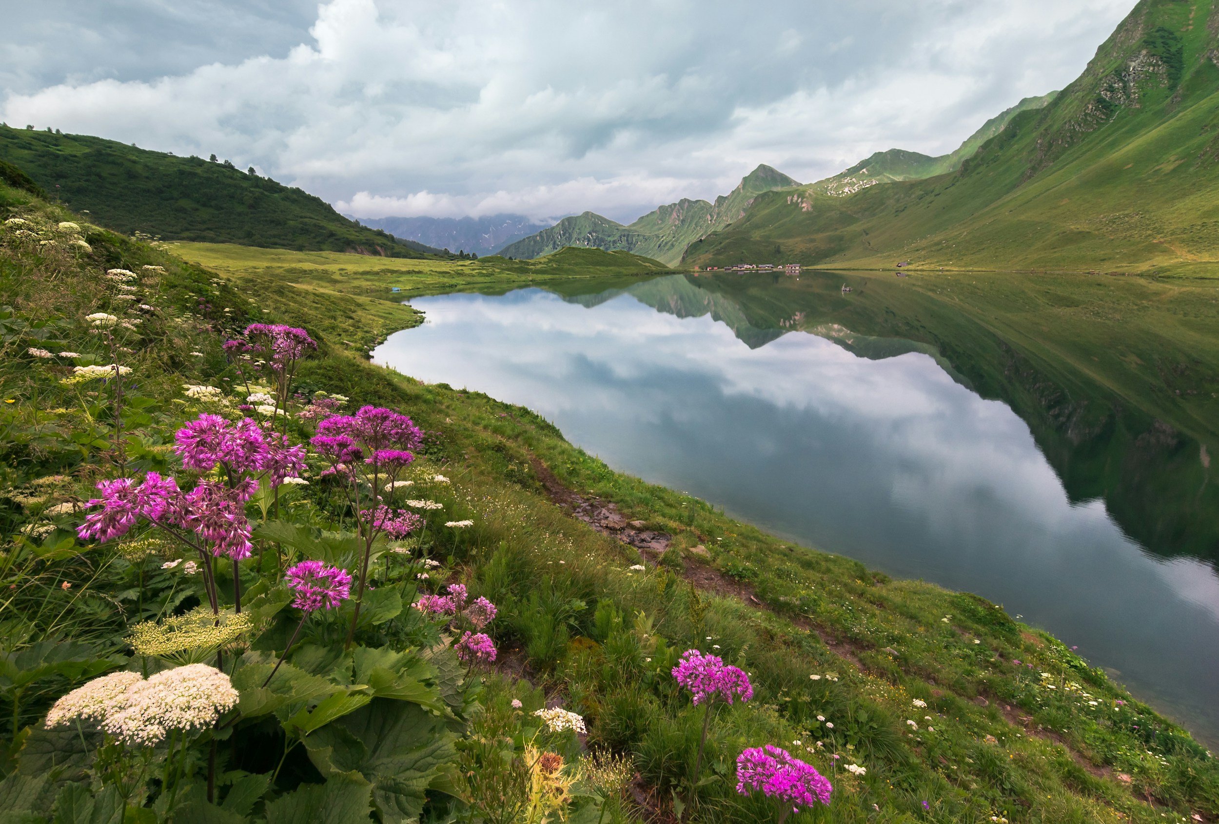 A serene mountain landscape features lush green hills and tall peaks reflected in a calm lake. Colorful wildflowers bloom along a path in the foreground under a partly cloudy sky.