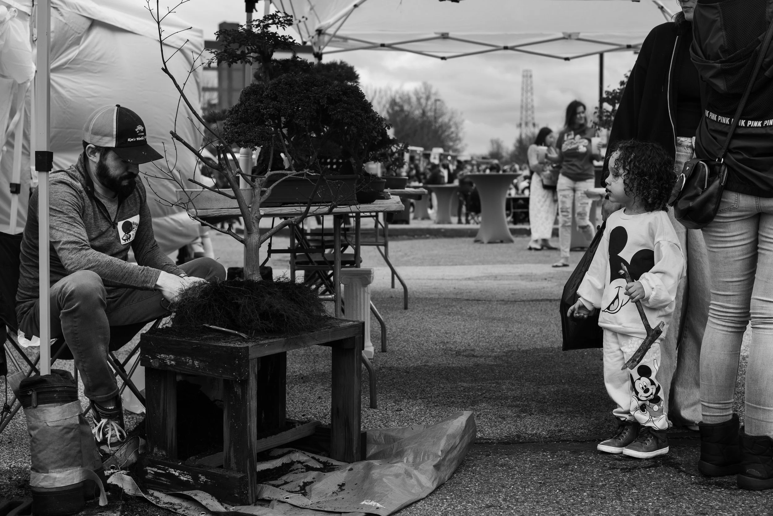A man with a beard and a cap sitting near a small tree for sale at an outdoor market, with a young girl and a woman standing nearby, both looking at the tree."