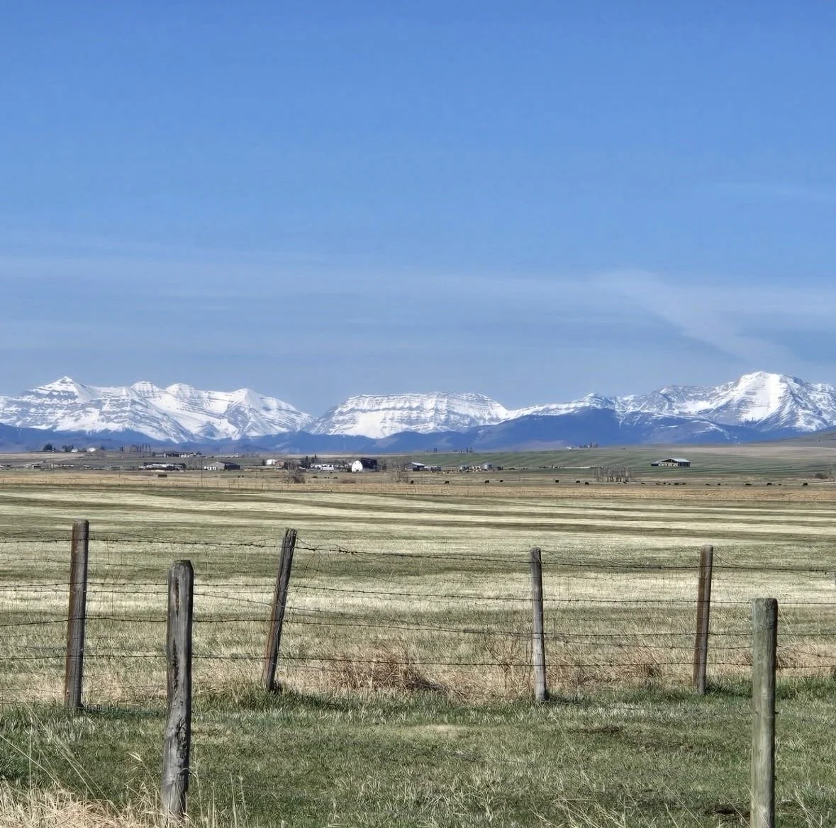 Open farmland with a barbed wire fence in the foreground, and snow-capped mountains in the background under a clear blue sky.