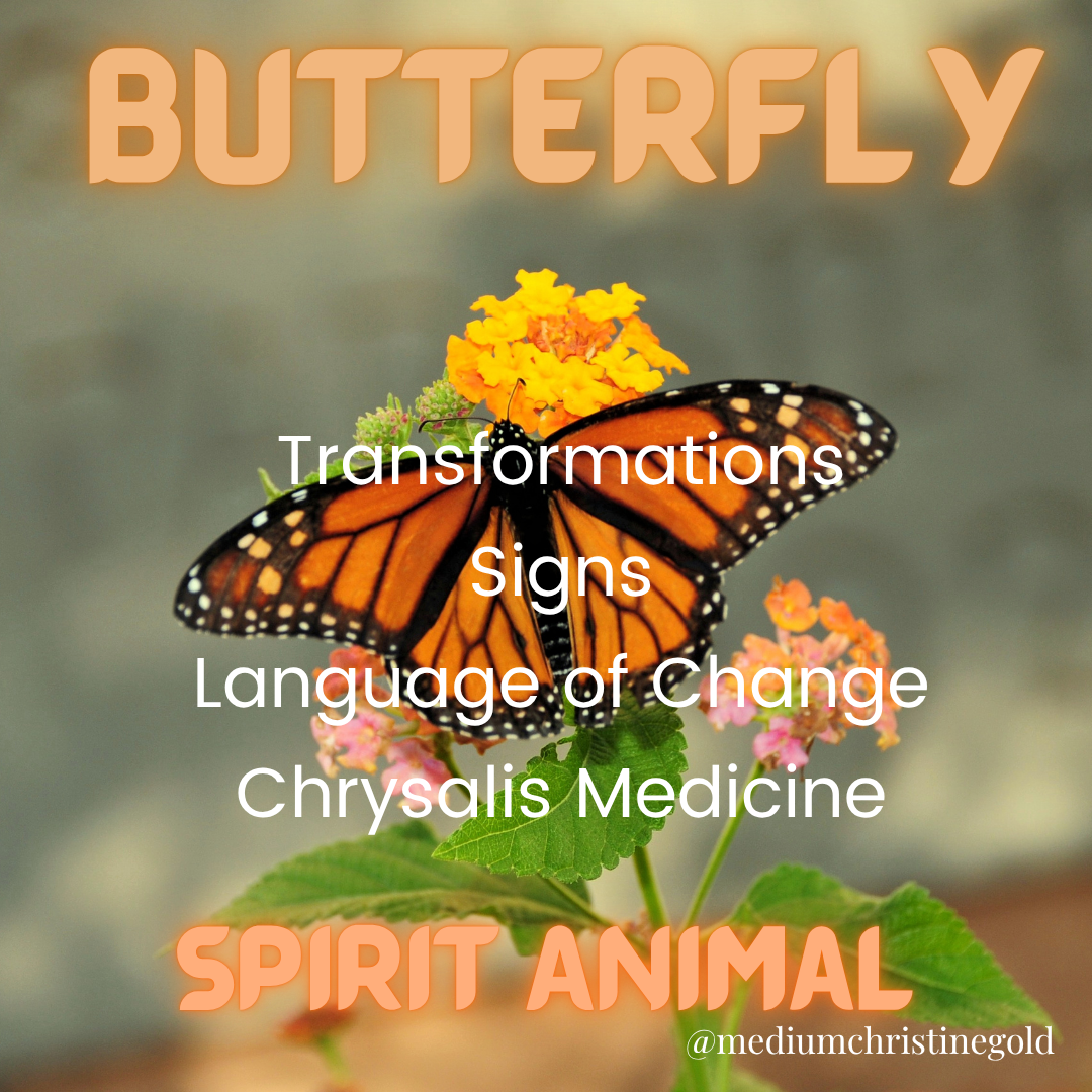 The Butterfly Spirit Animal: Transformation, Signs, and the Sacred Language of Change