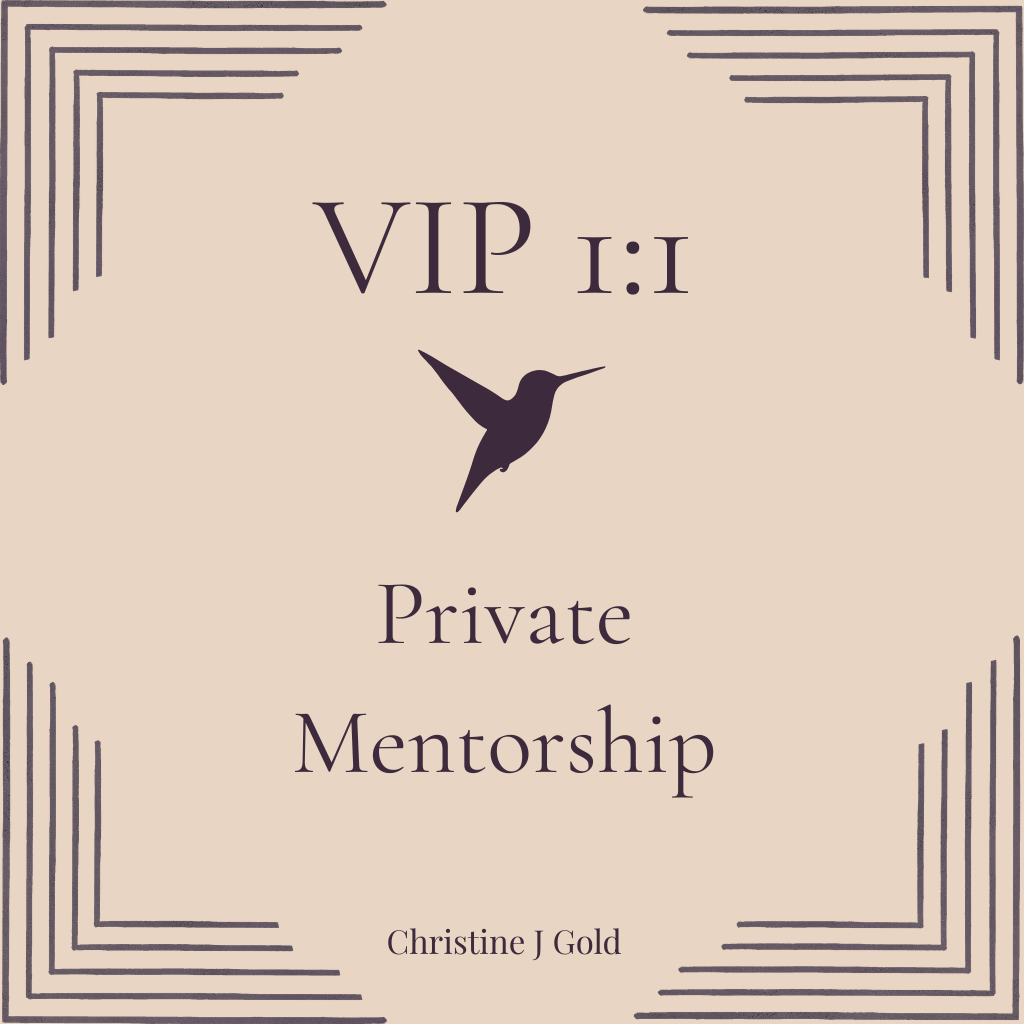Private 1 to 1 Mentorship