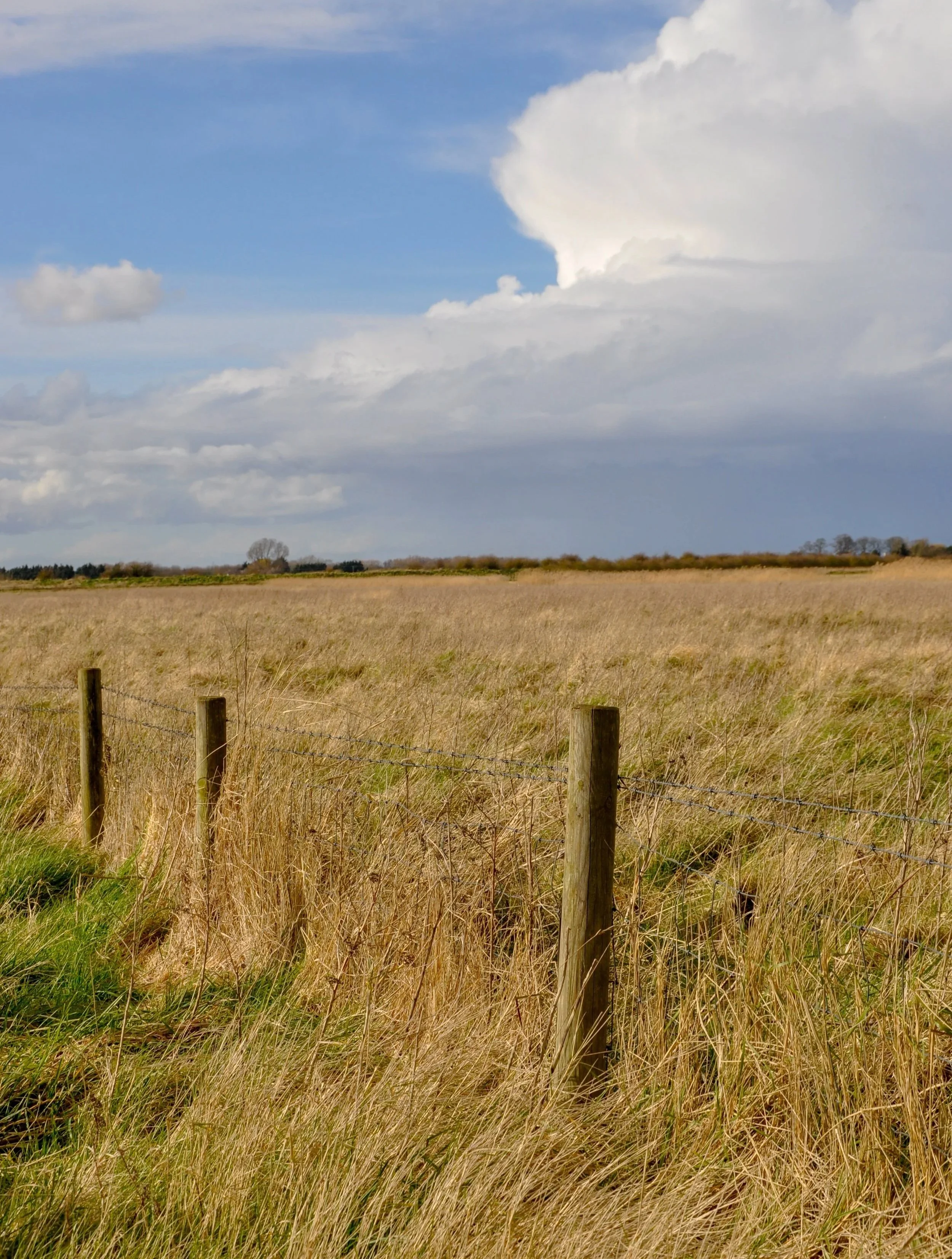 Open field with tall dry grass, wooden fence posts, barbed wire, and a partly cloudy sky.