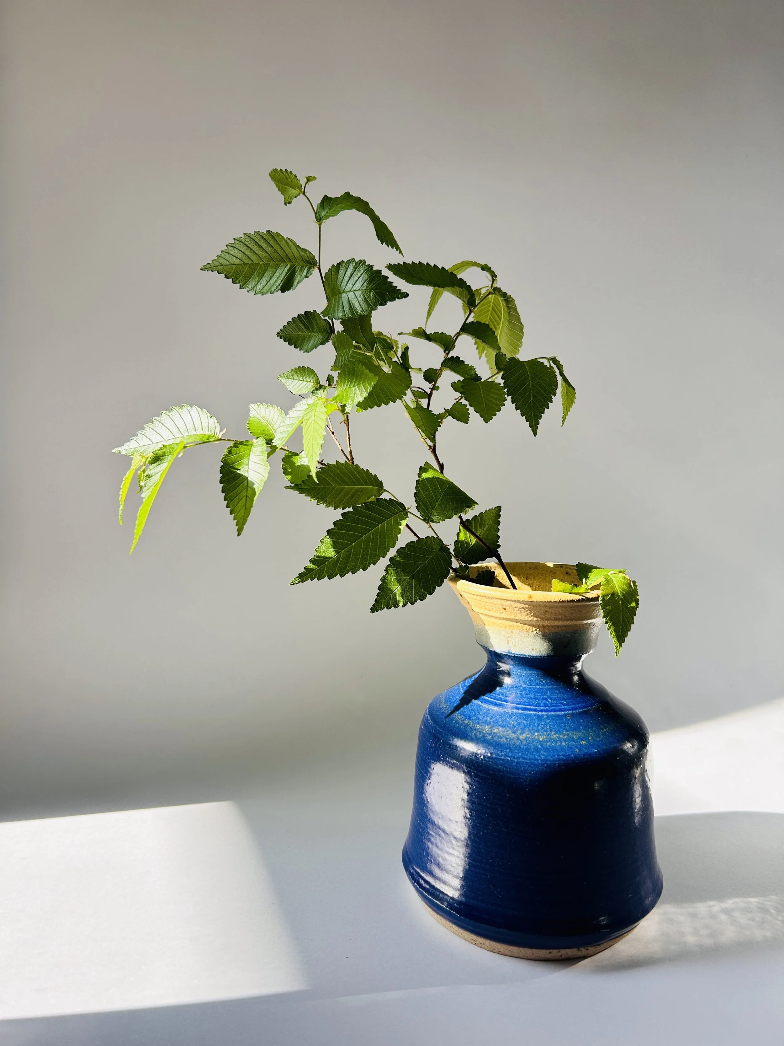 Vintage cobalt blue studio pottery vase with raw rim, handmade ceramic vessel with greenery