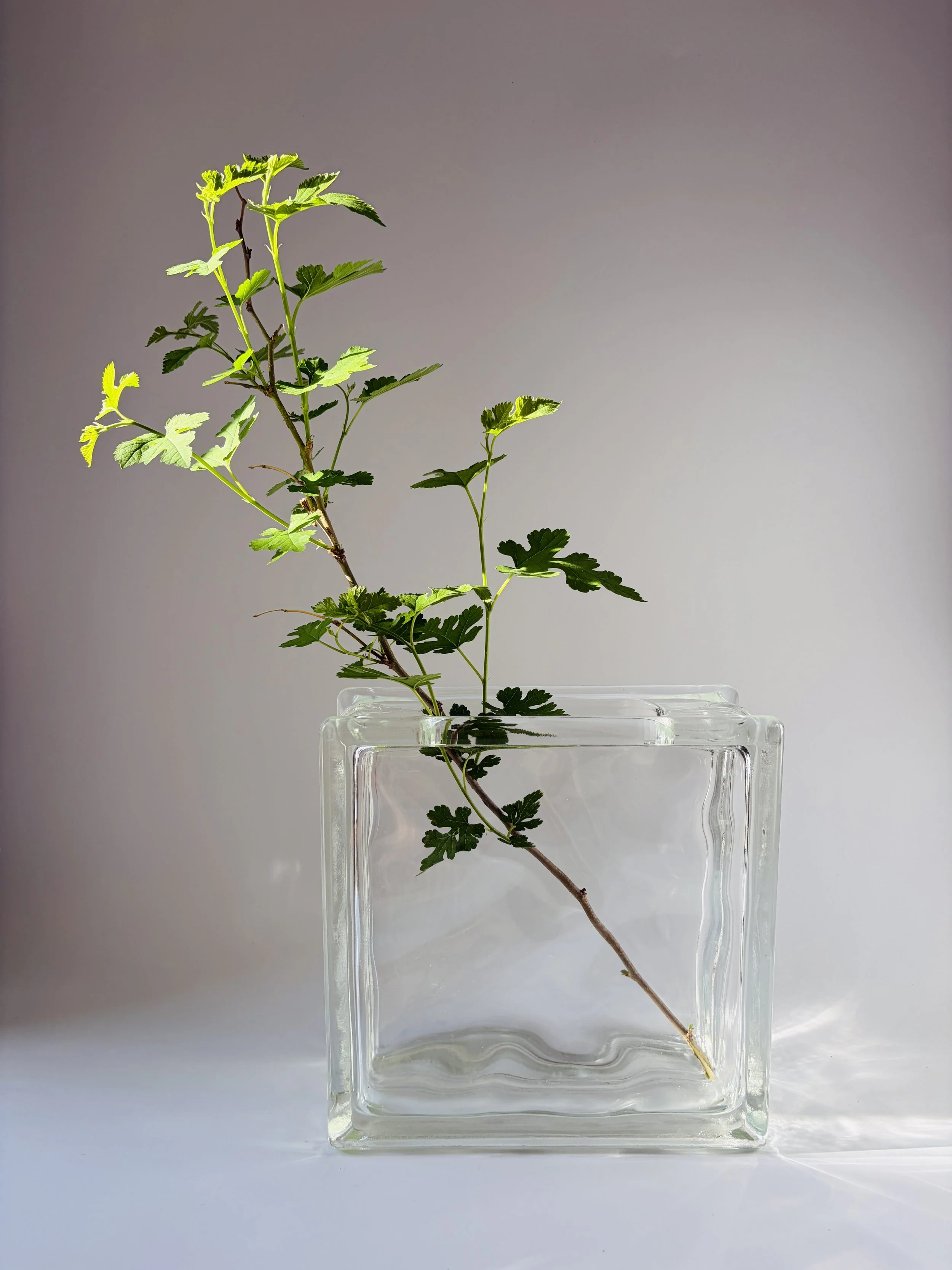 Vintage Glass Flower Block