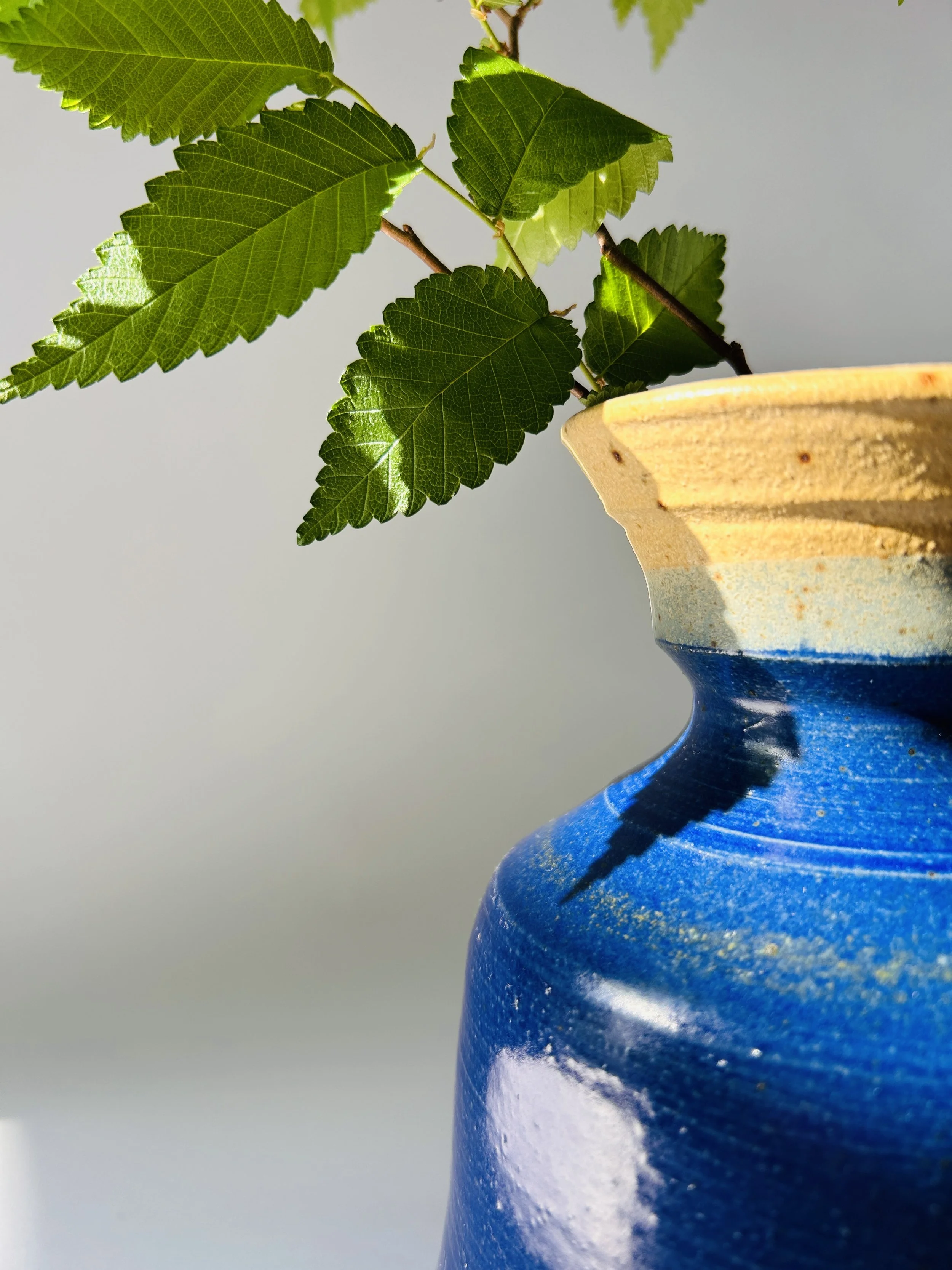 Vintage cobalt blue studio pottery vase with raw rim, handmade ceramic vessel with greenery