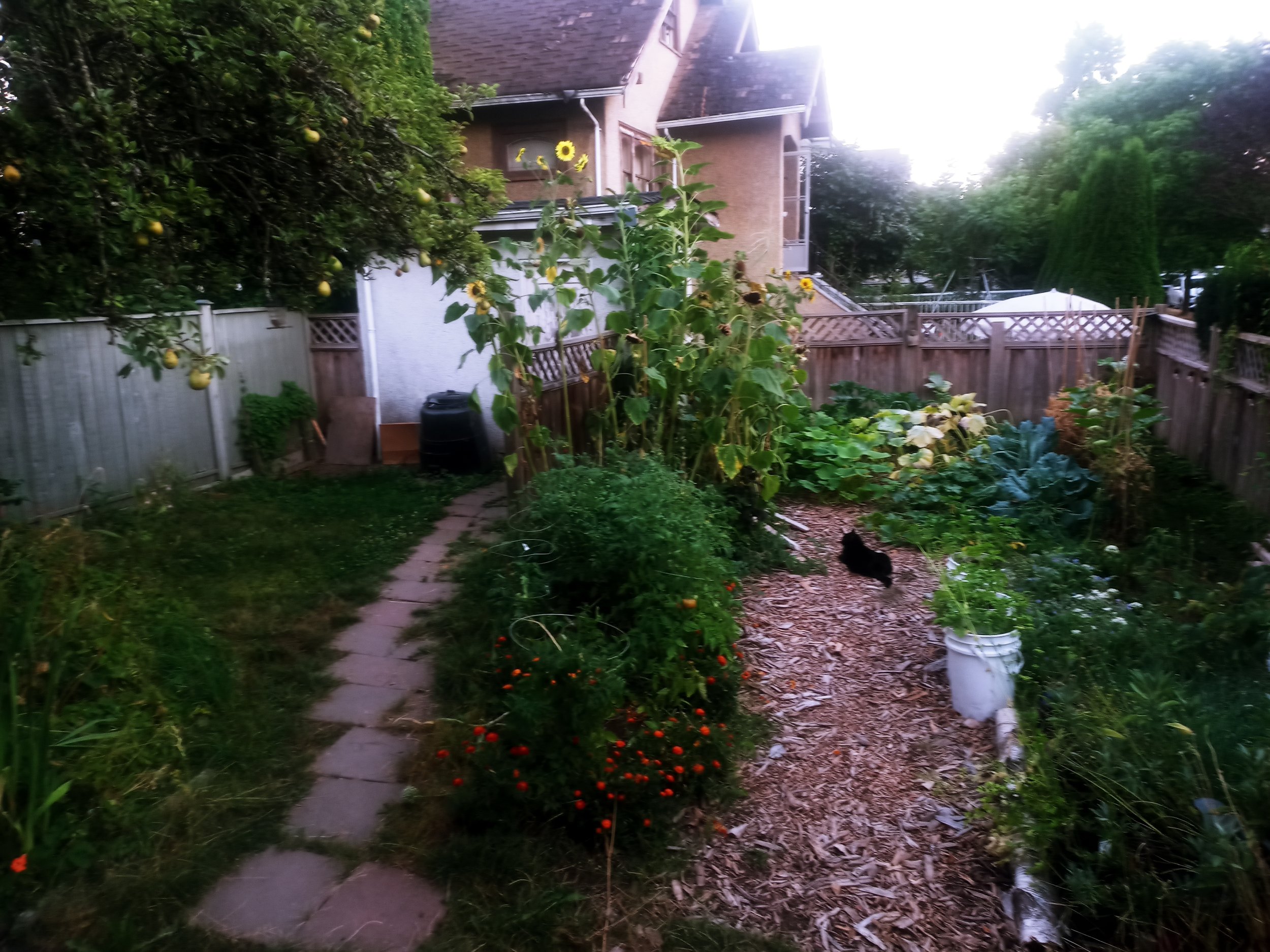 20220825_200944.jpg