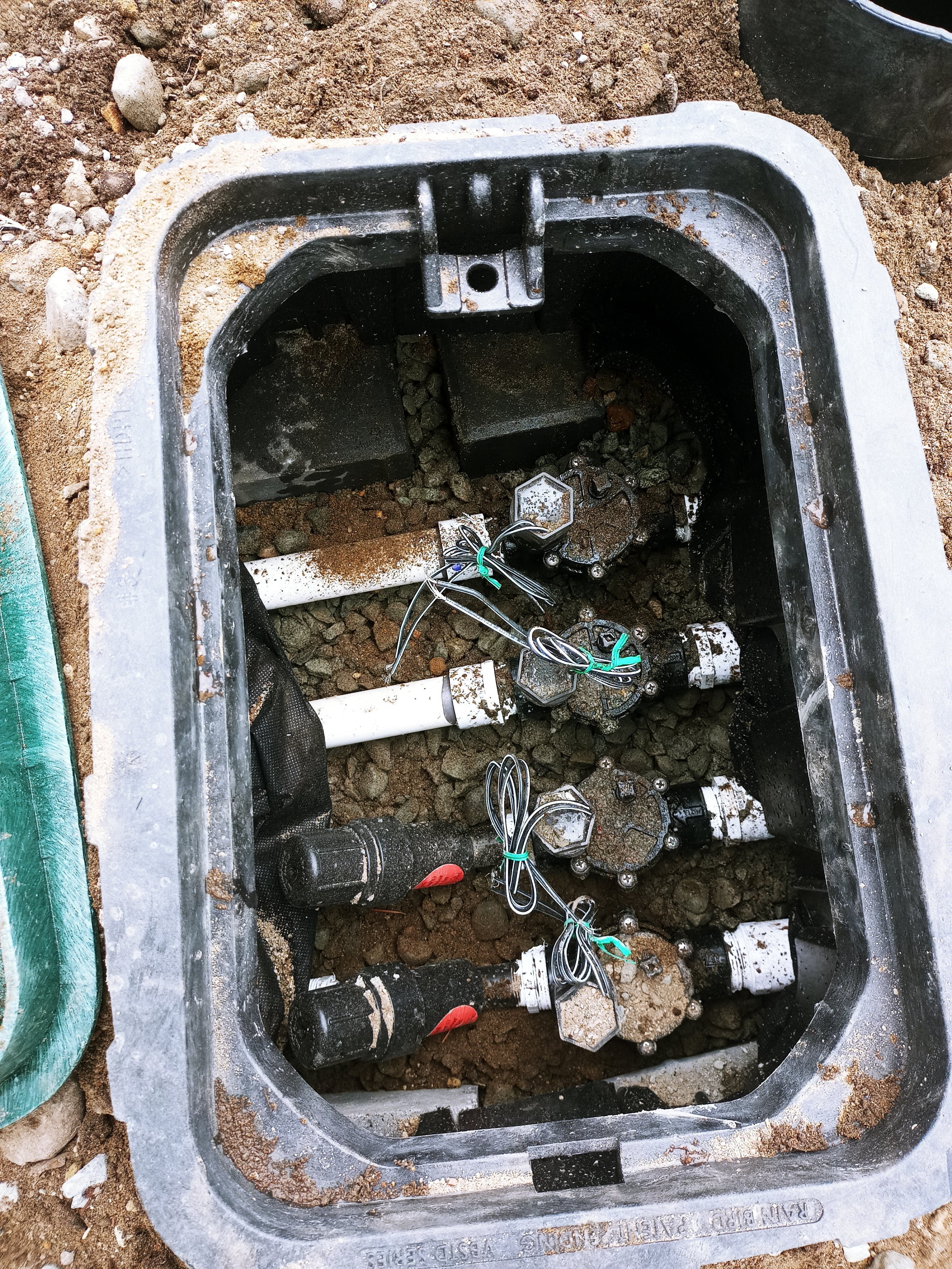 20210619_095312.jpg