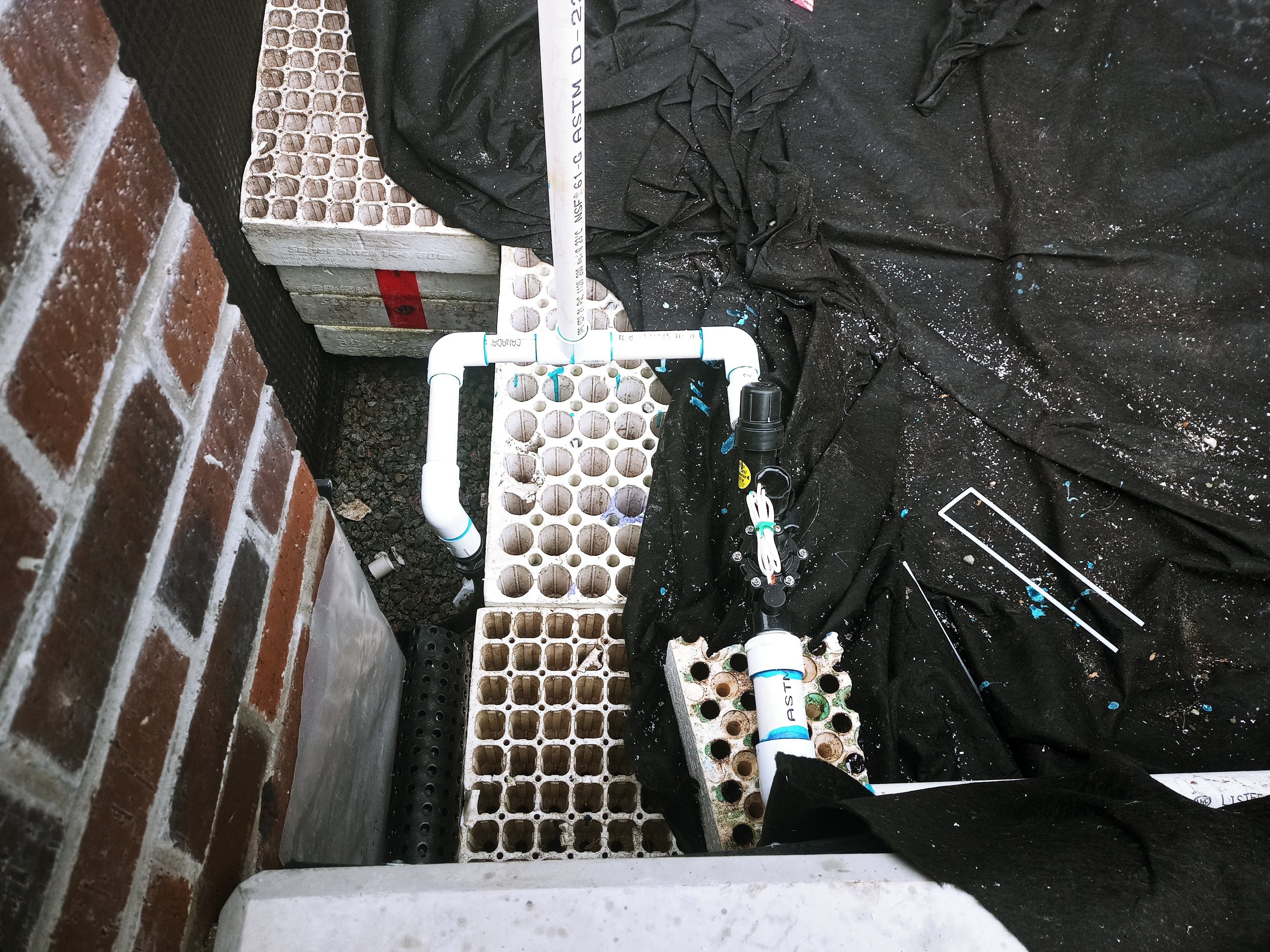 20230310_102012_HDR.jpg
