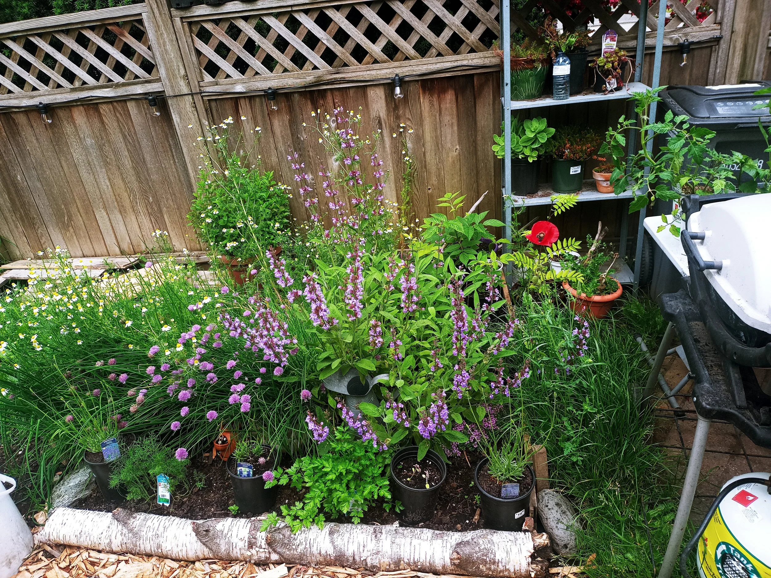 20220612_104504_HDR.jpg