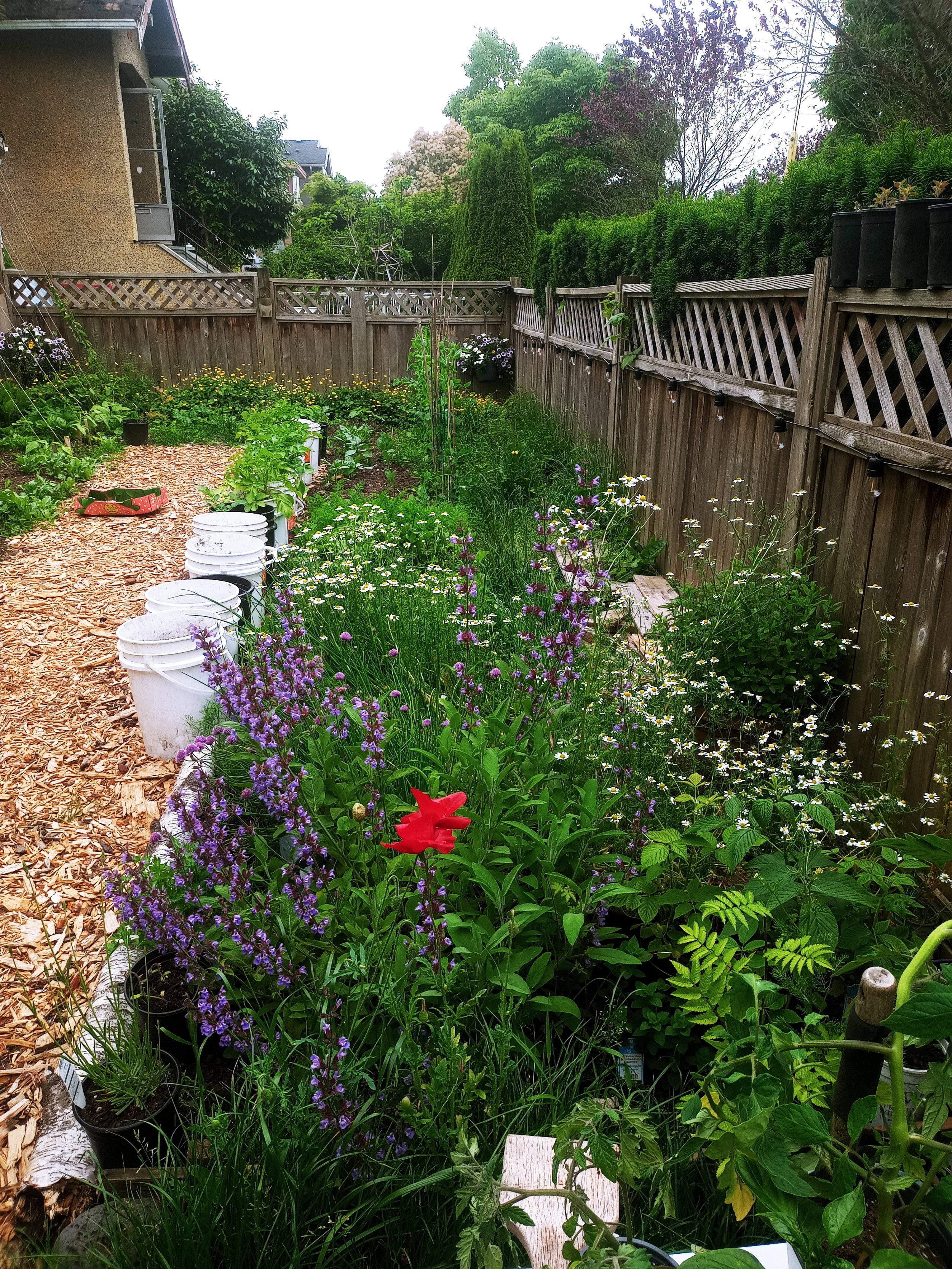 20220615_131154_HDR.jpg