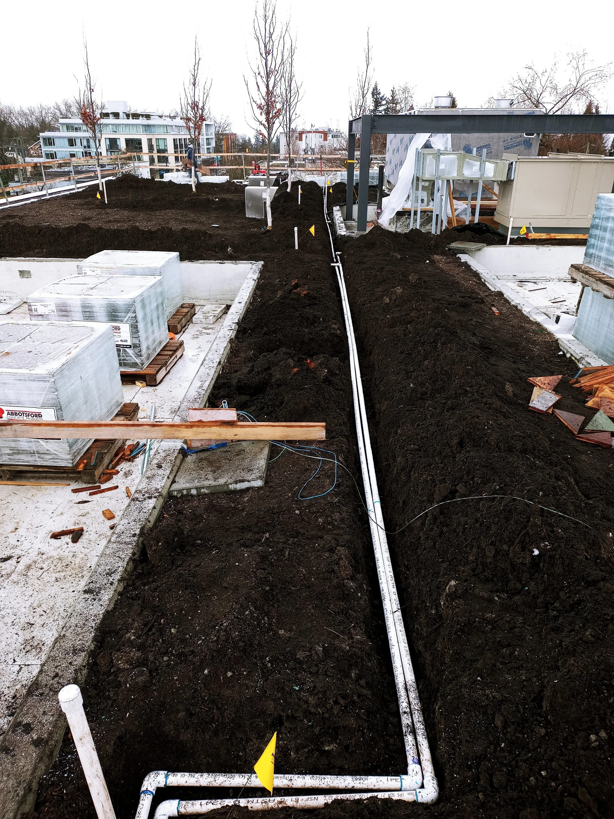 20230320_131824_HDR.jpg