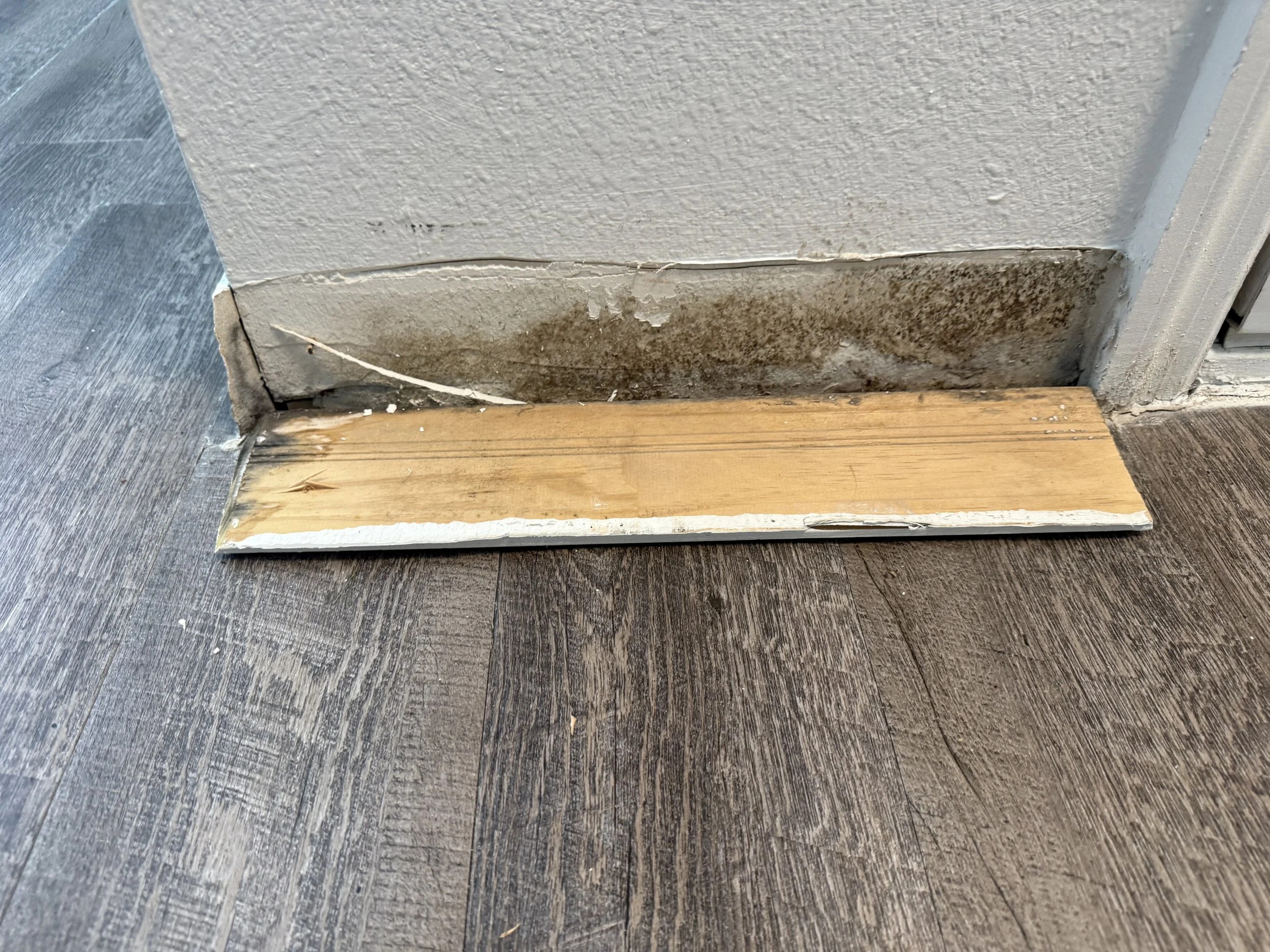 Baseboard at the bottom of a wall with mold and water damage on the corner, next to a wooden floor.