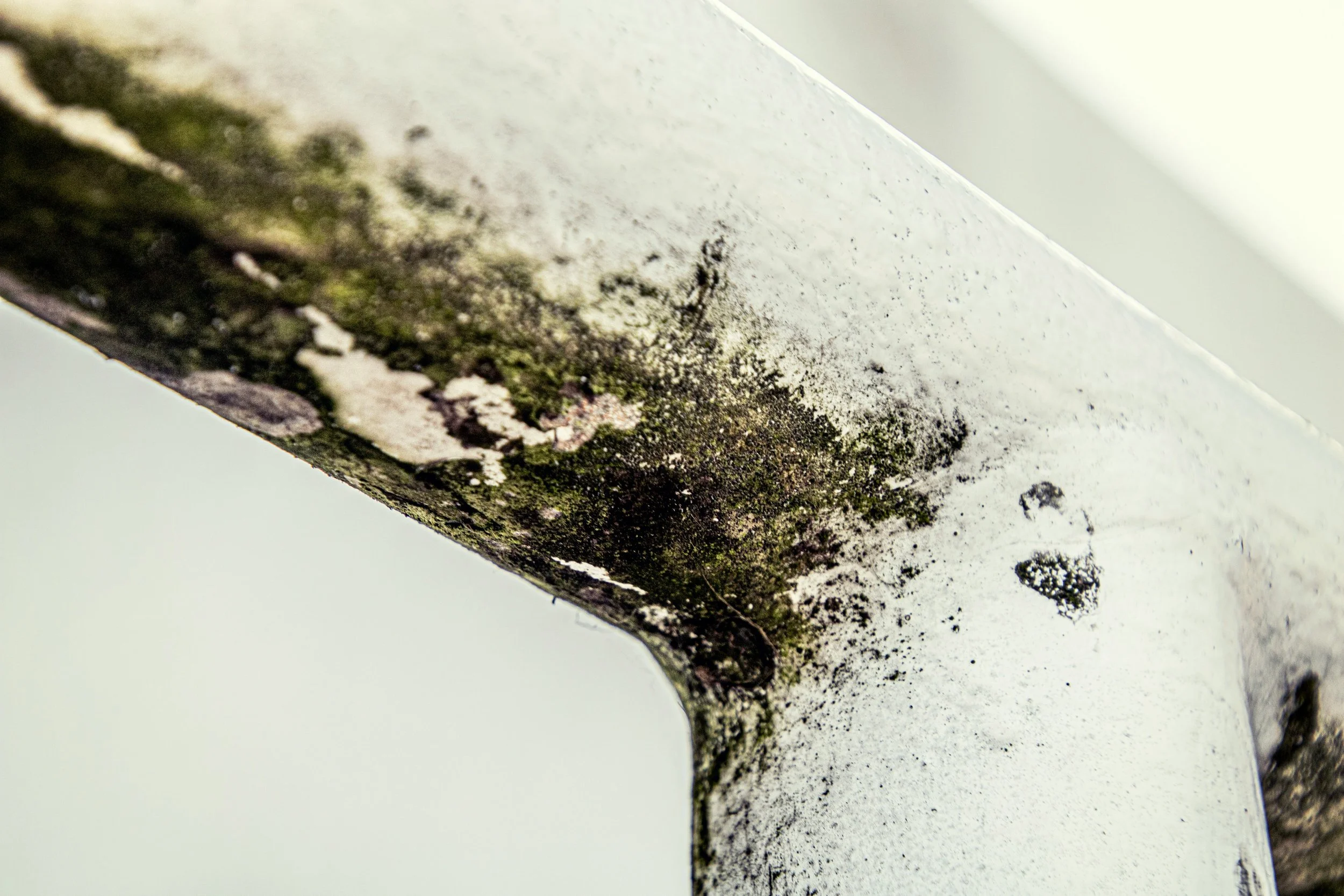 Close-up of a white metal surface with rust, dirt, and green moss or mold near the edge.