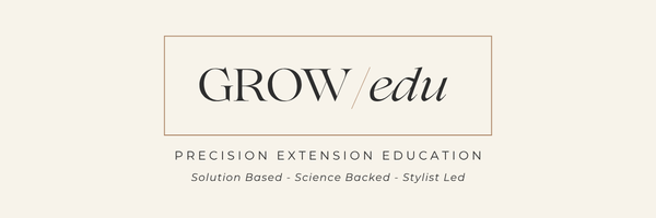 Advanced Hair Extension Education