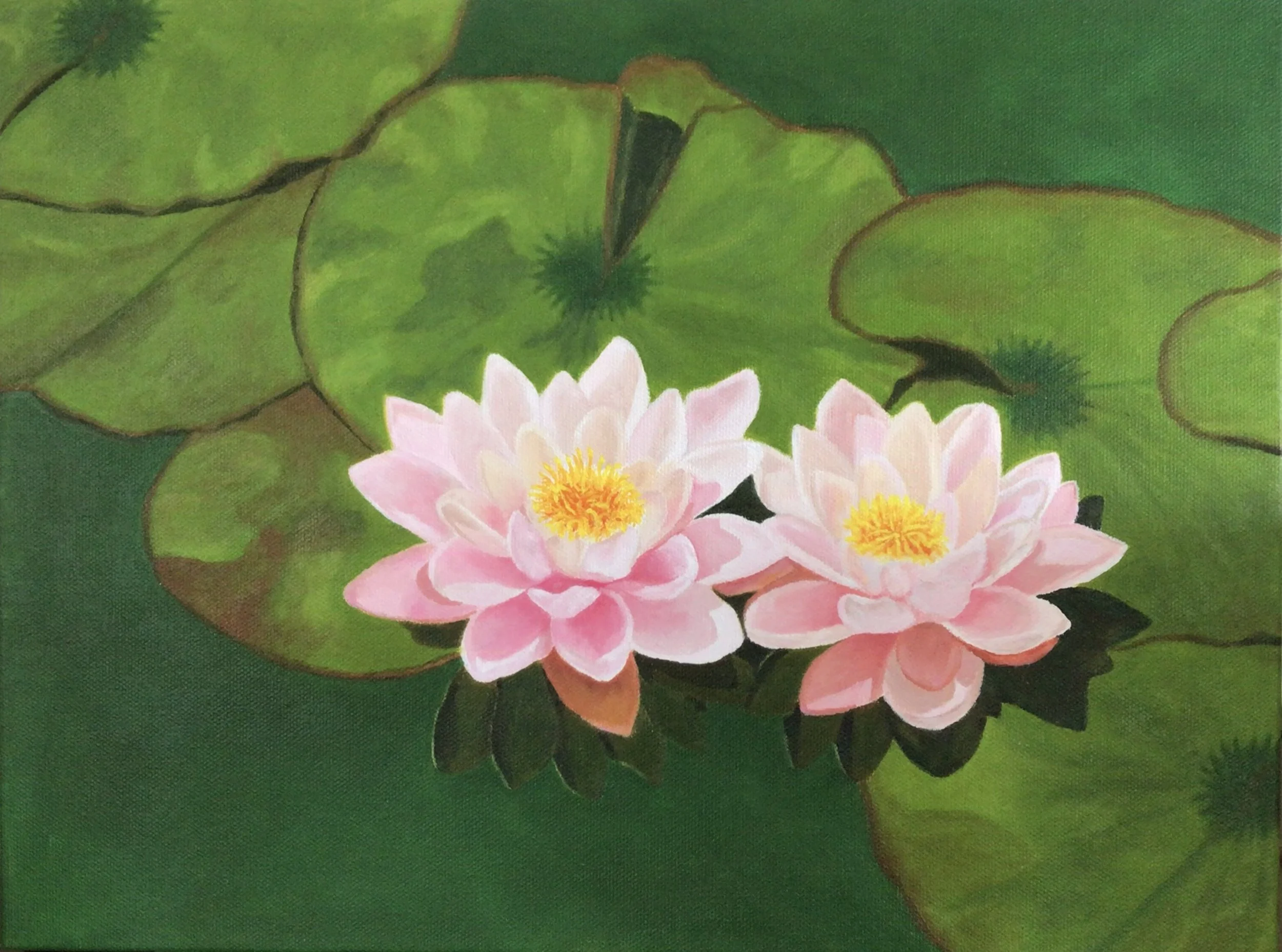 Water Lilies at the Music Academy of the West