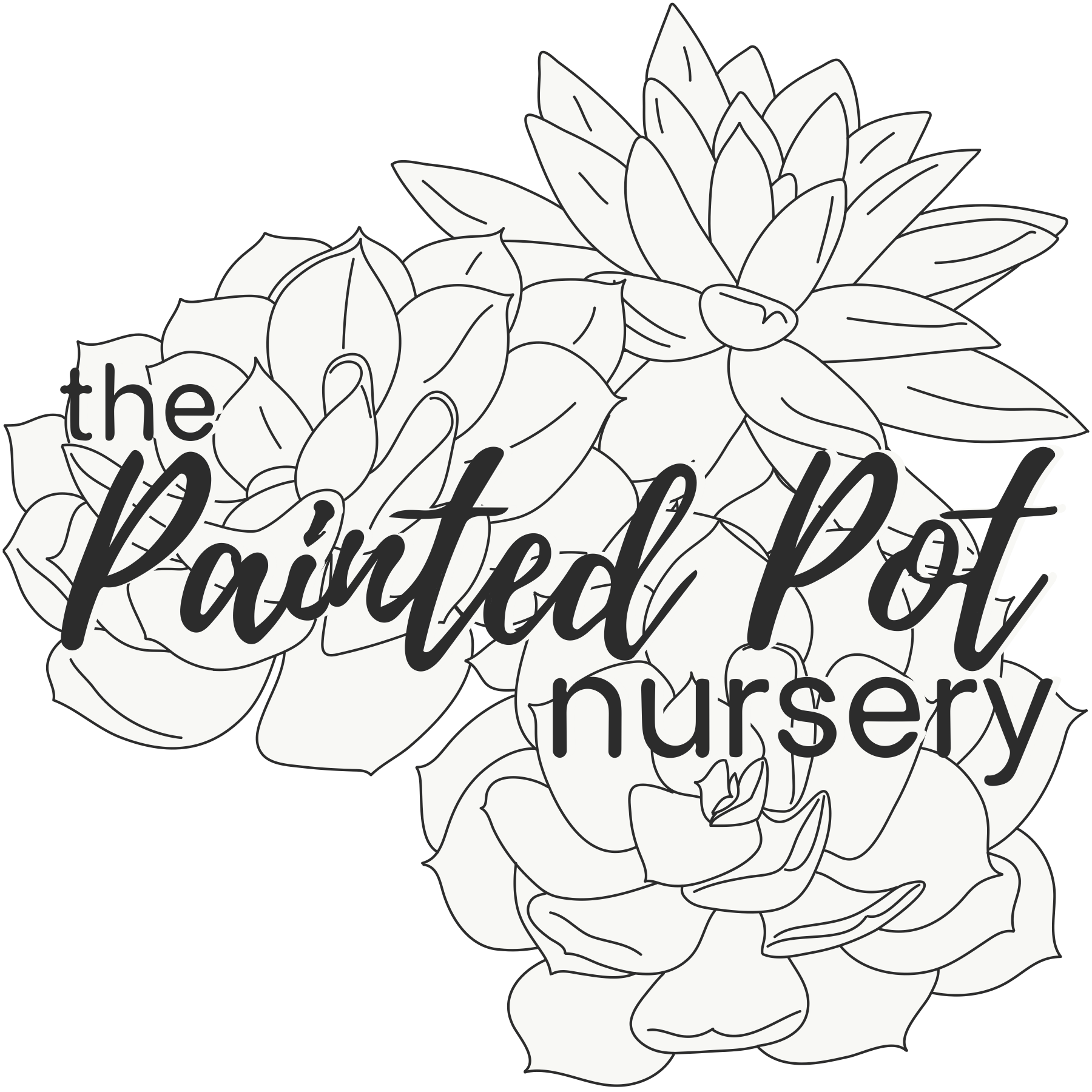 Digital linework illustration with succulent design and the words "the Painted Pot nursery" in black cursive overlaying text.
