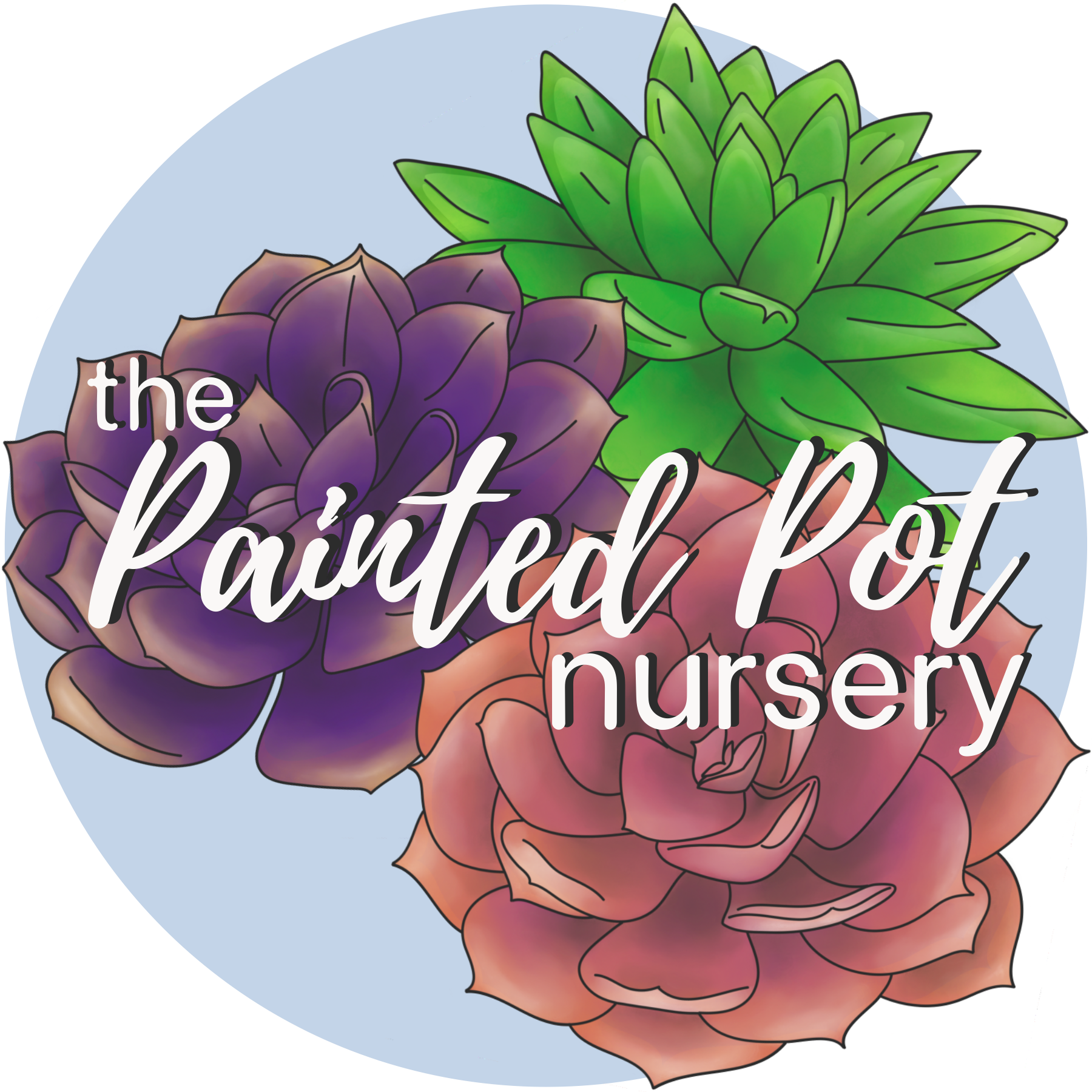 Colorful digital illustration of green, pink, and purple succulents with overlay text that reads 'the Painted Pot nursery'.