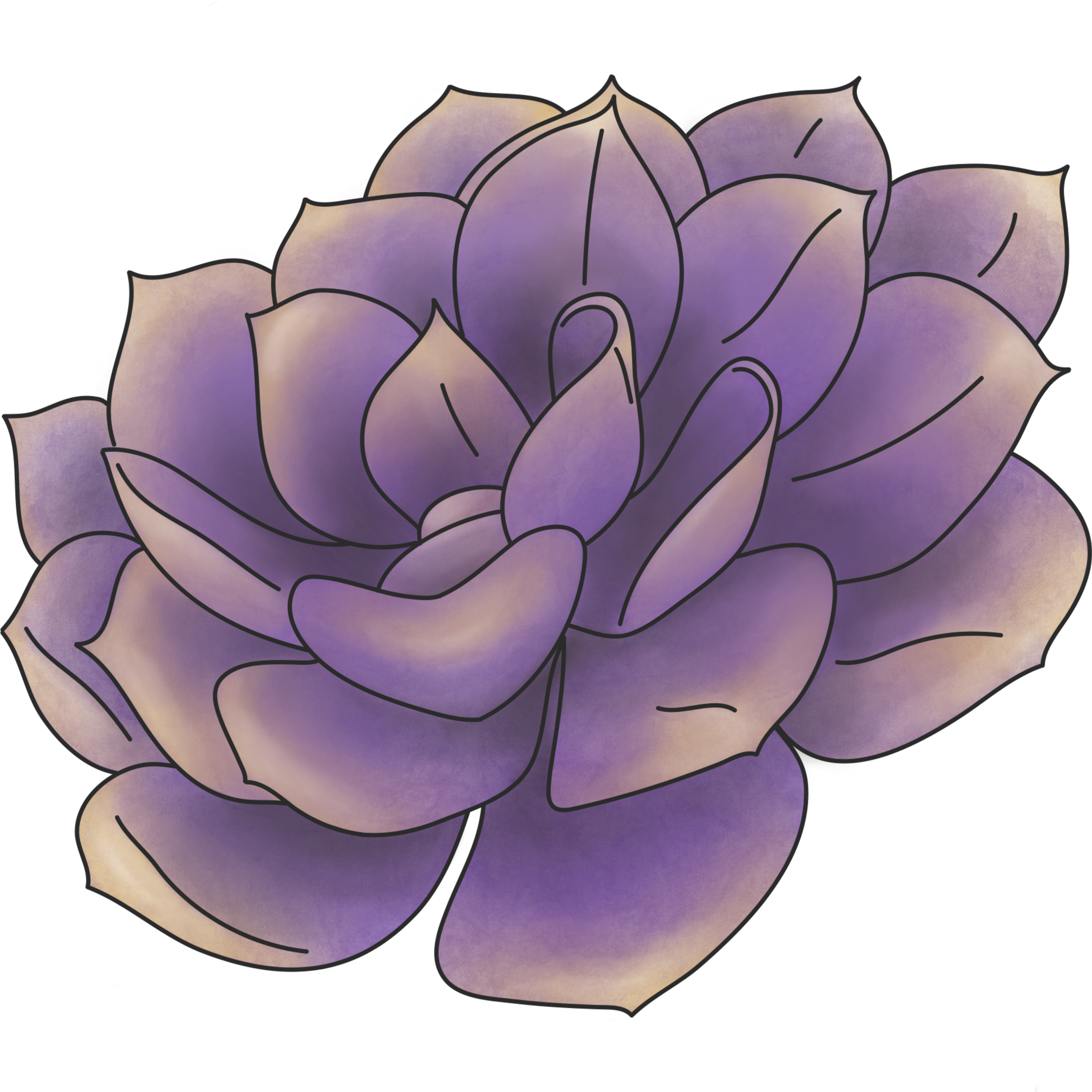 A digital illustration of a purple succulent.