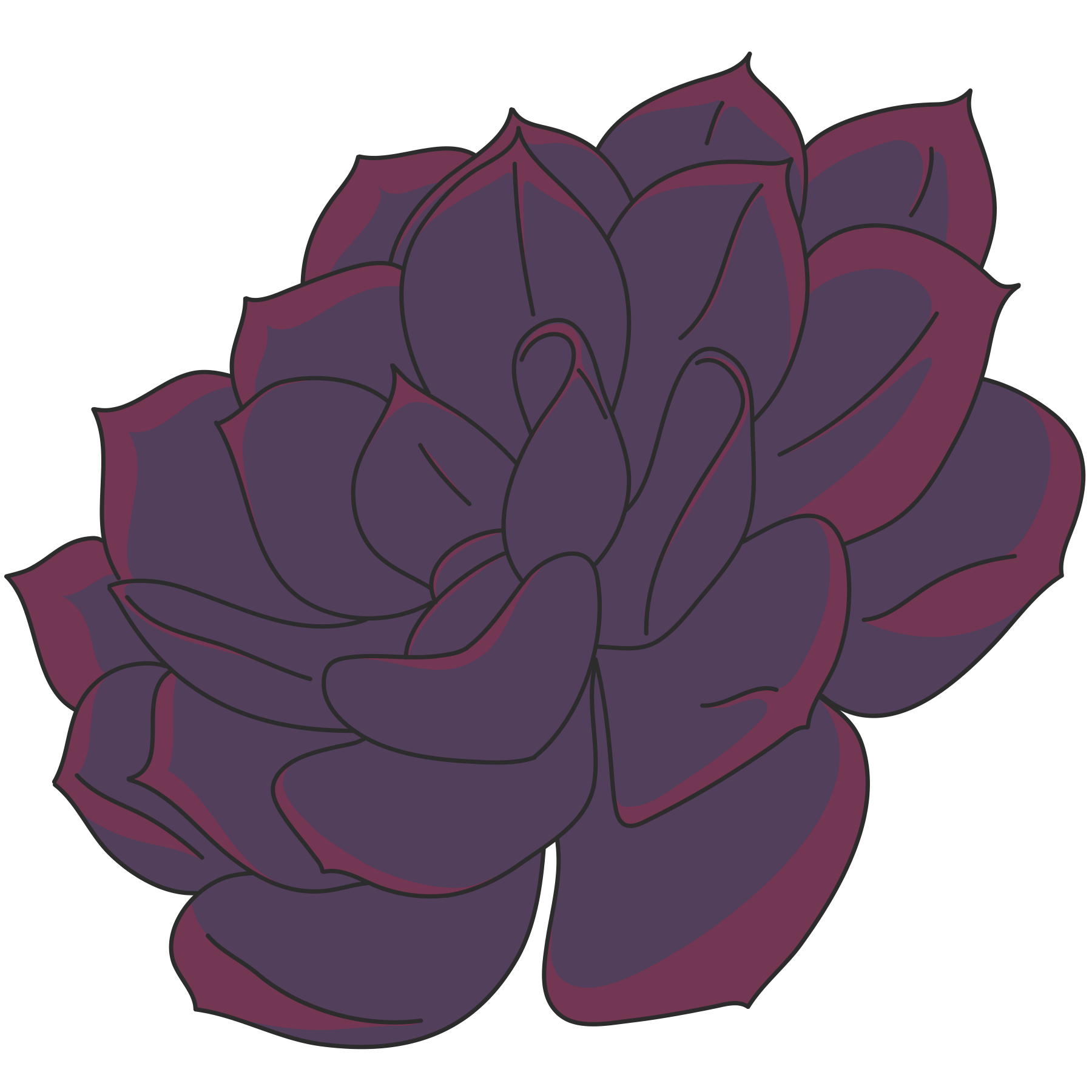 A digital illustration of a purple succulent plant outlined in black.