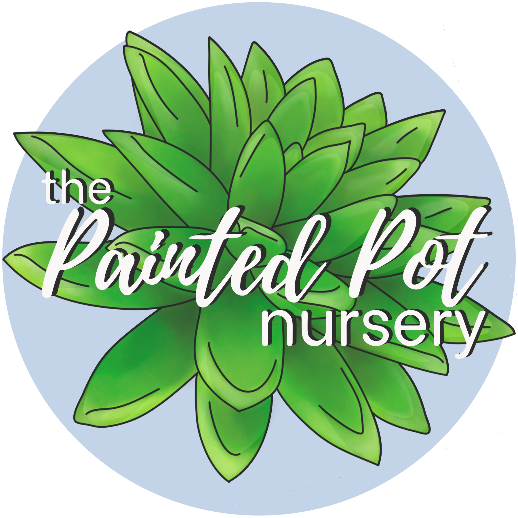 A circular logo with a green succulent plant in the center and white text overlay that reads 'the Painted Pot nursery'. The background is light blue.
