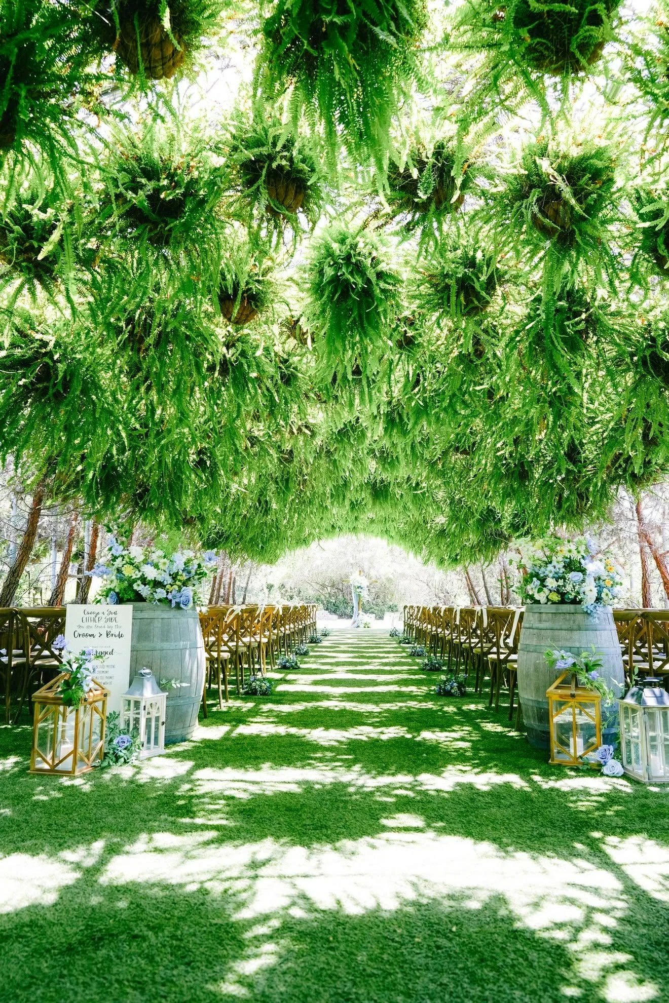 Outdoor wedding aisle decorated with flowers and lanterns, shaded by large leafy tree canopy.